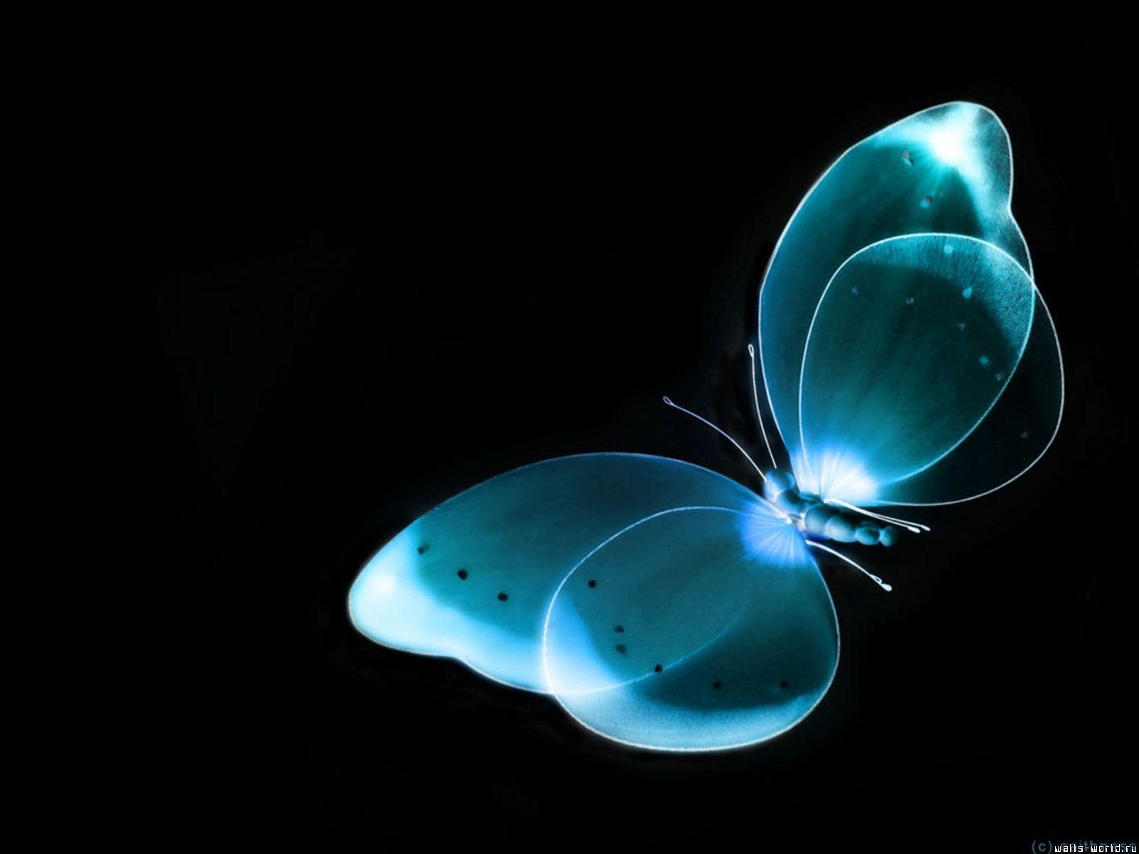 Blue Butterfly HD Wallpapers Wallpaper Cave