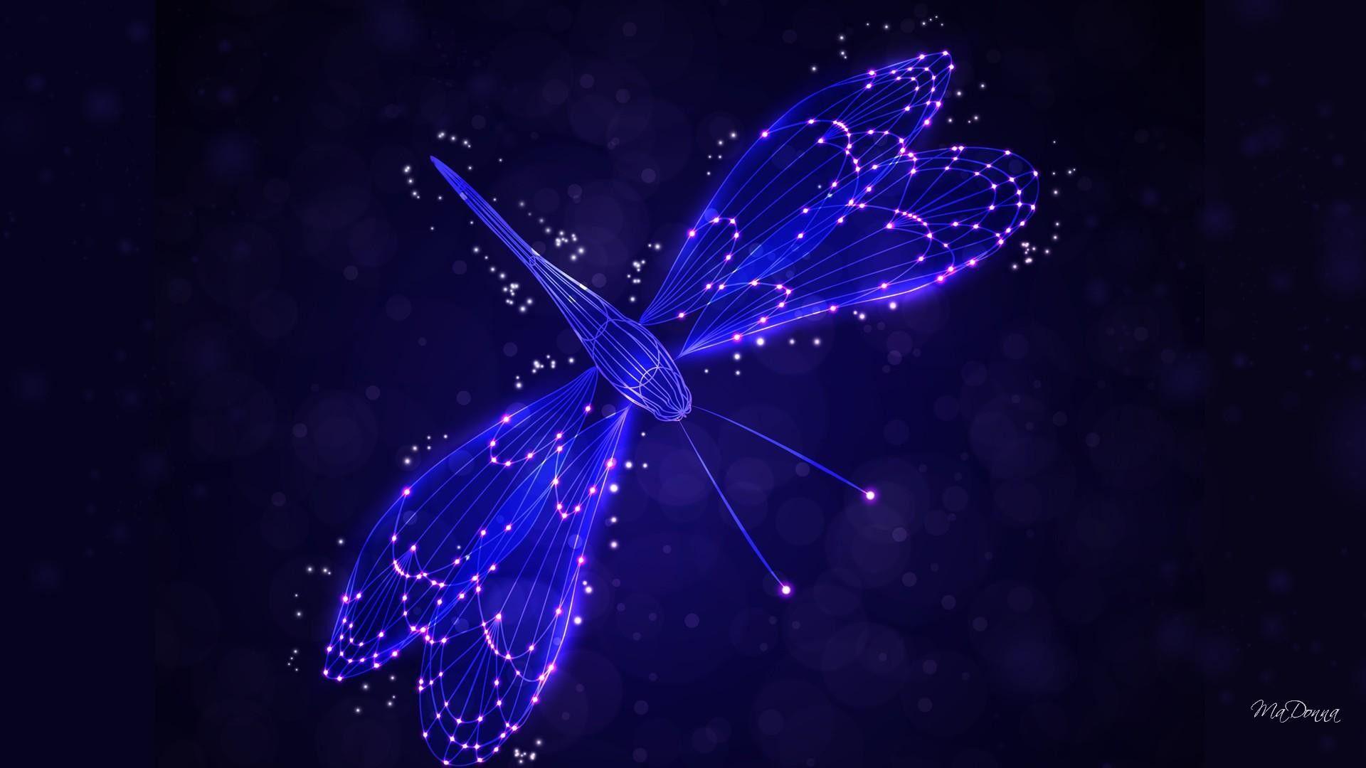 Pretty Dragonfly Backgrounds Wallpaper Cave