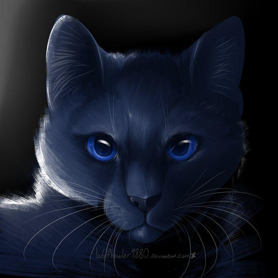 Warrior Cats Wallpapers Bluestar Wallpaper Cave
