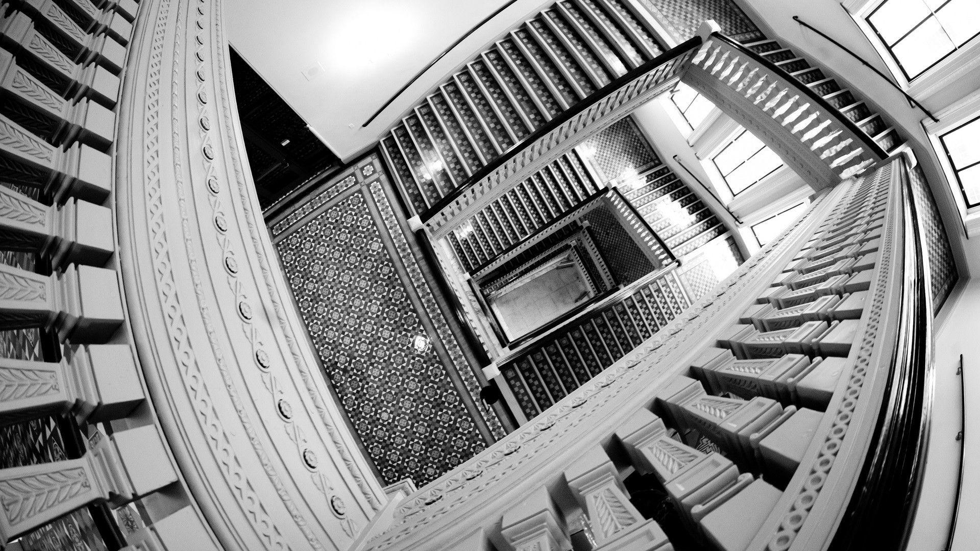 10+ Fish Eye Perspective For You