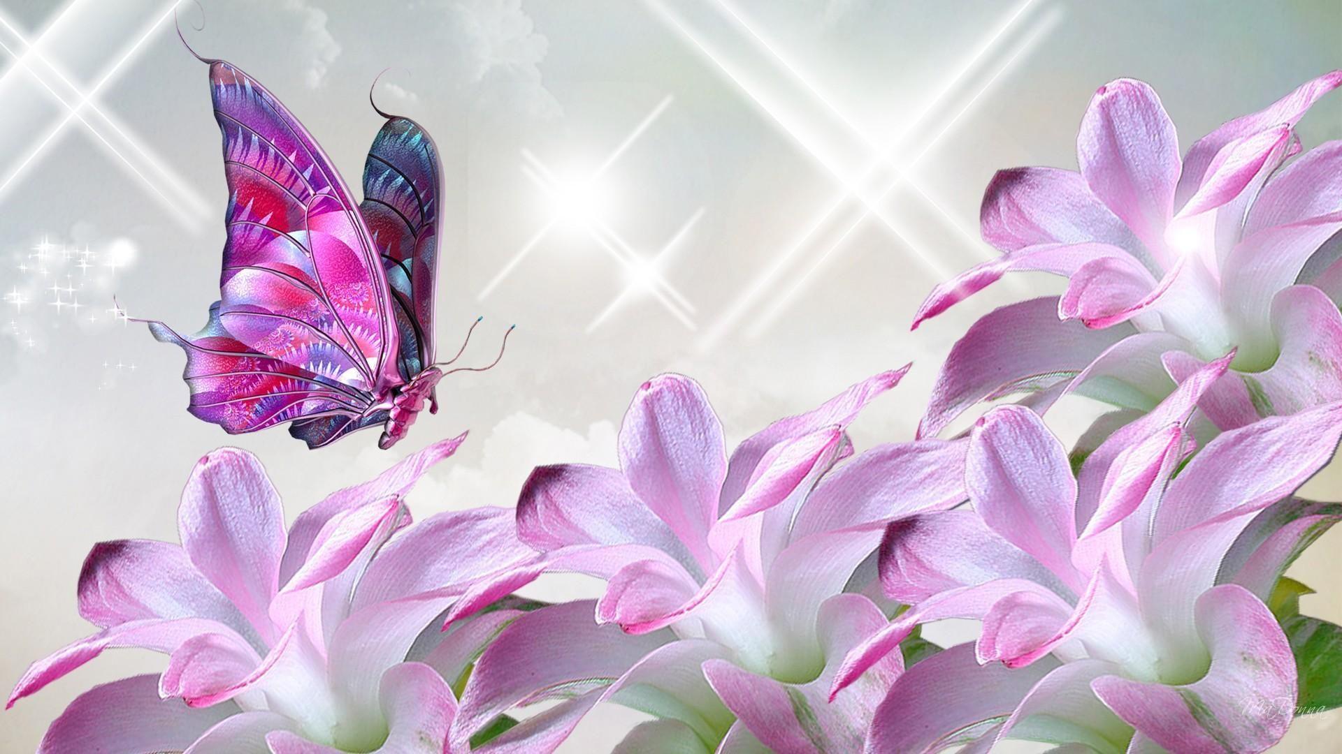 High Quality Butterfly Wallpapers Wallpaper Cave