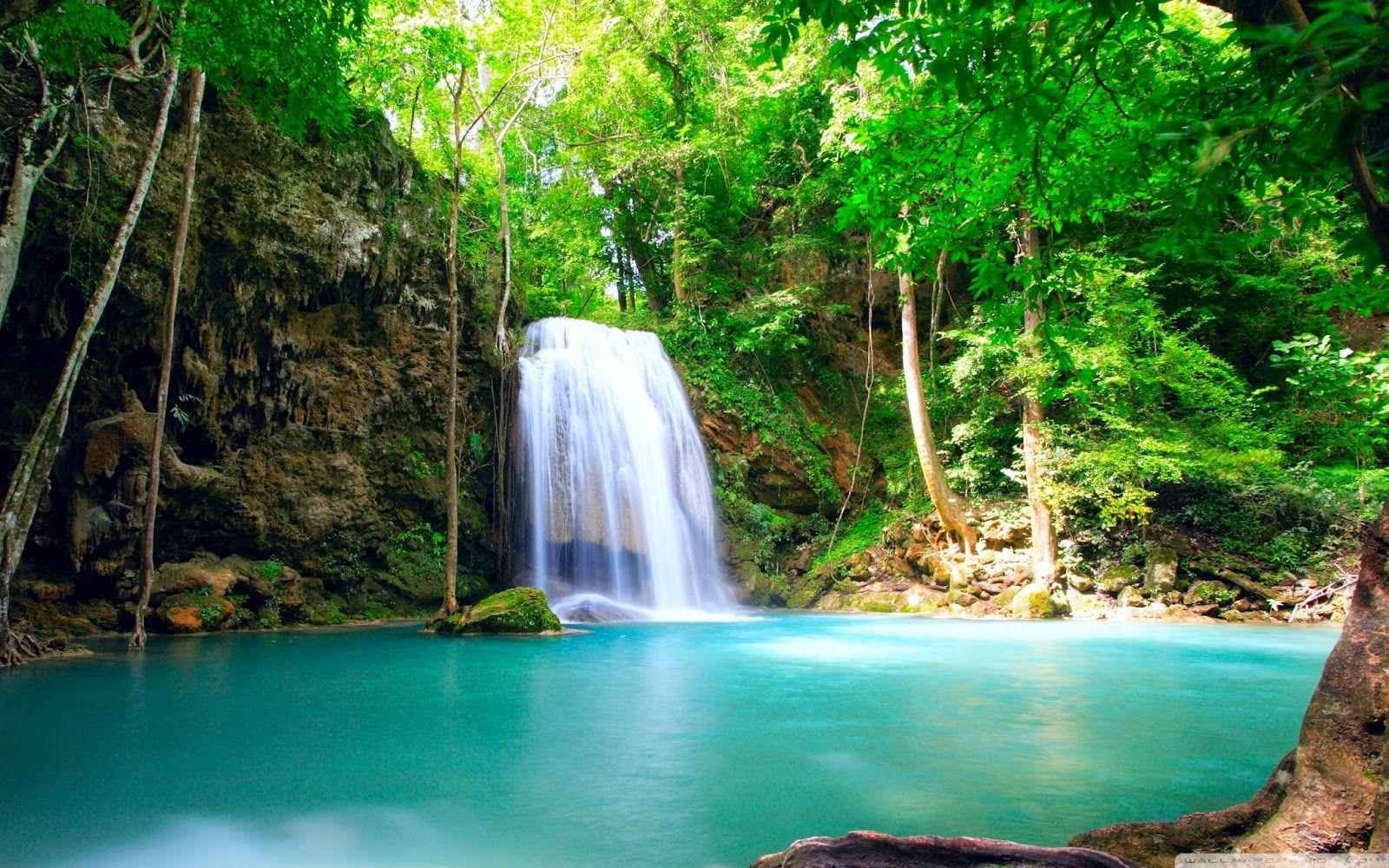 Wallpapers Animasi Bergerak - Wallpaper Cave 1000_x_1600_jpg