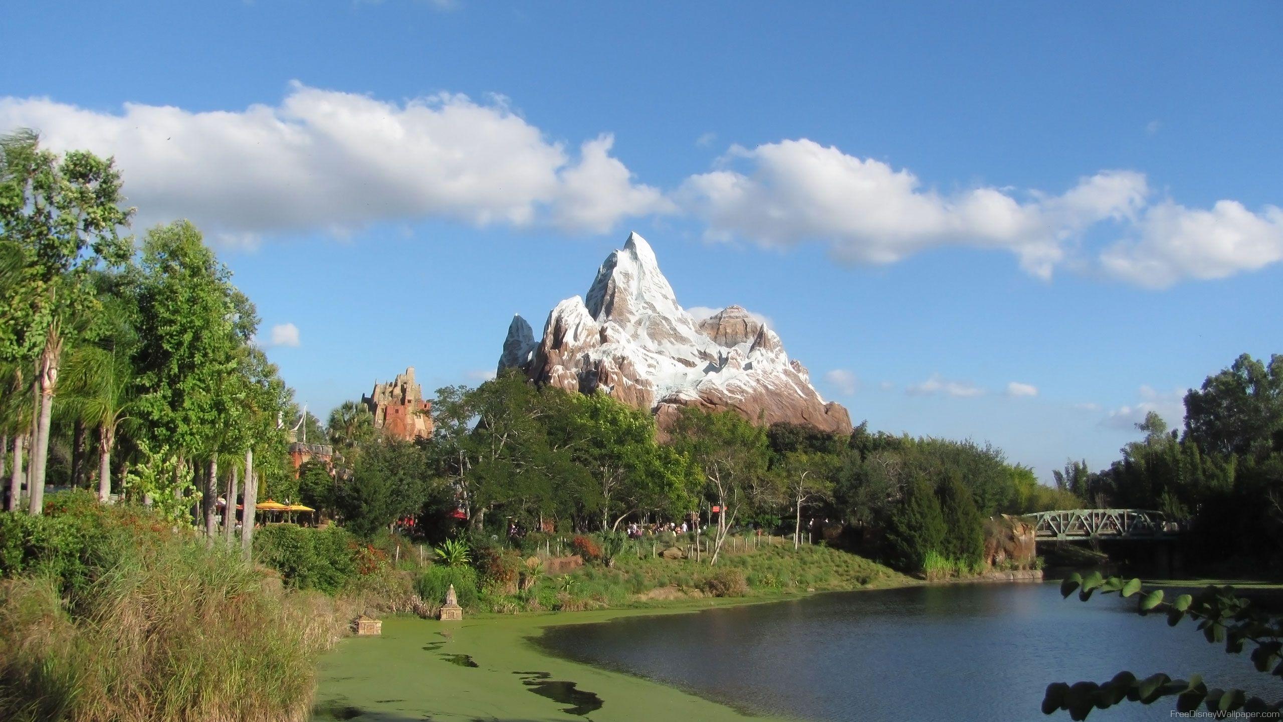 Animal Kingdom Wallpapers Wallpaper Cave