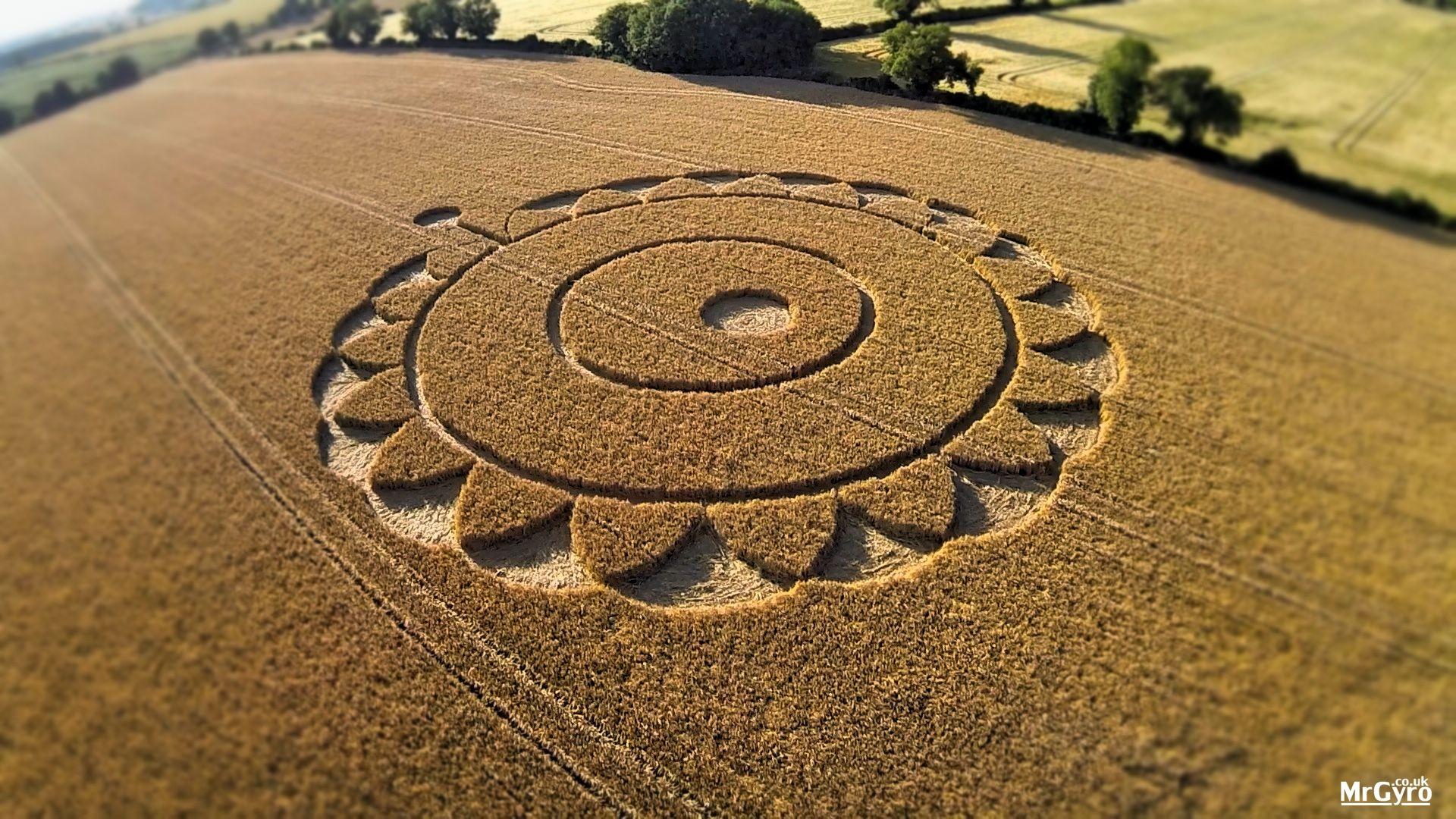 Crop a picture to fit in a shape Microsoft Support