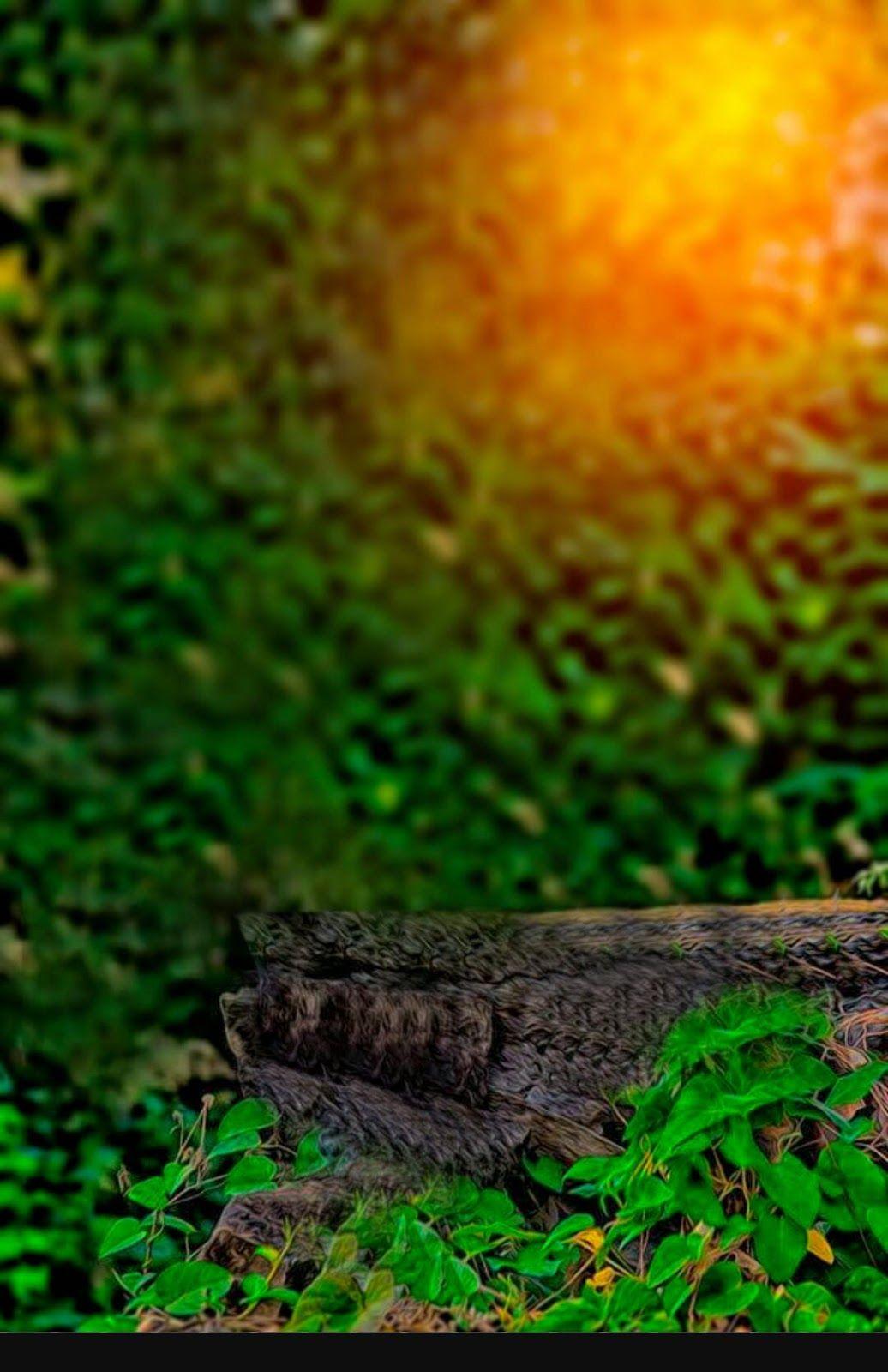 Photo Background Piche Ka Twitter Background Template With Your Photo Sky And Green Find