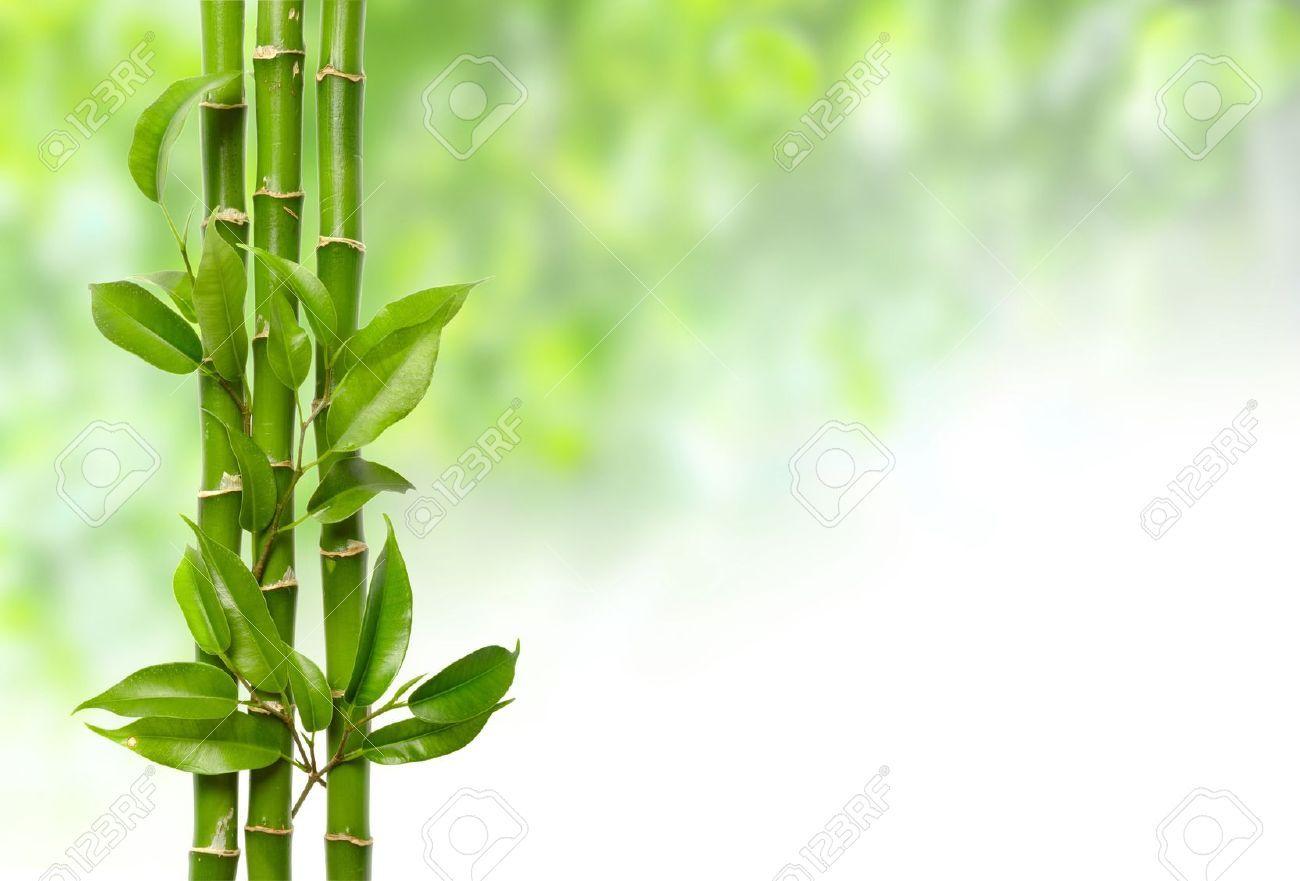 Hipster Backgrounds Bamboo Wallpaper Cave