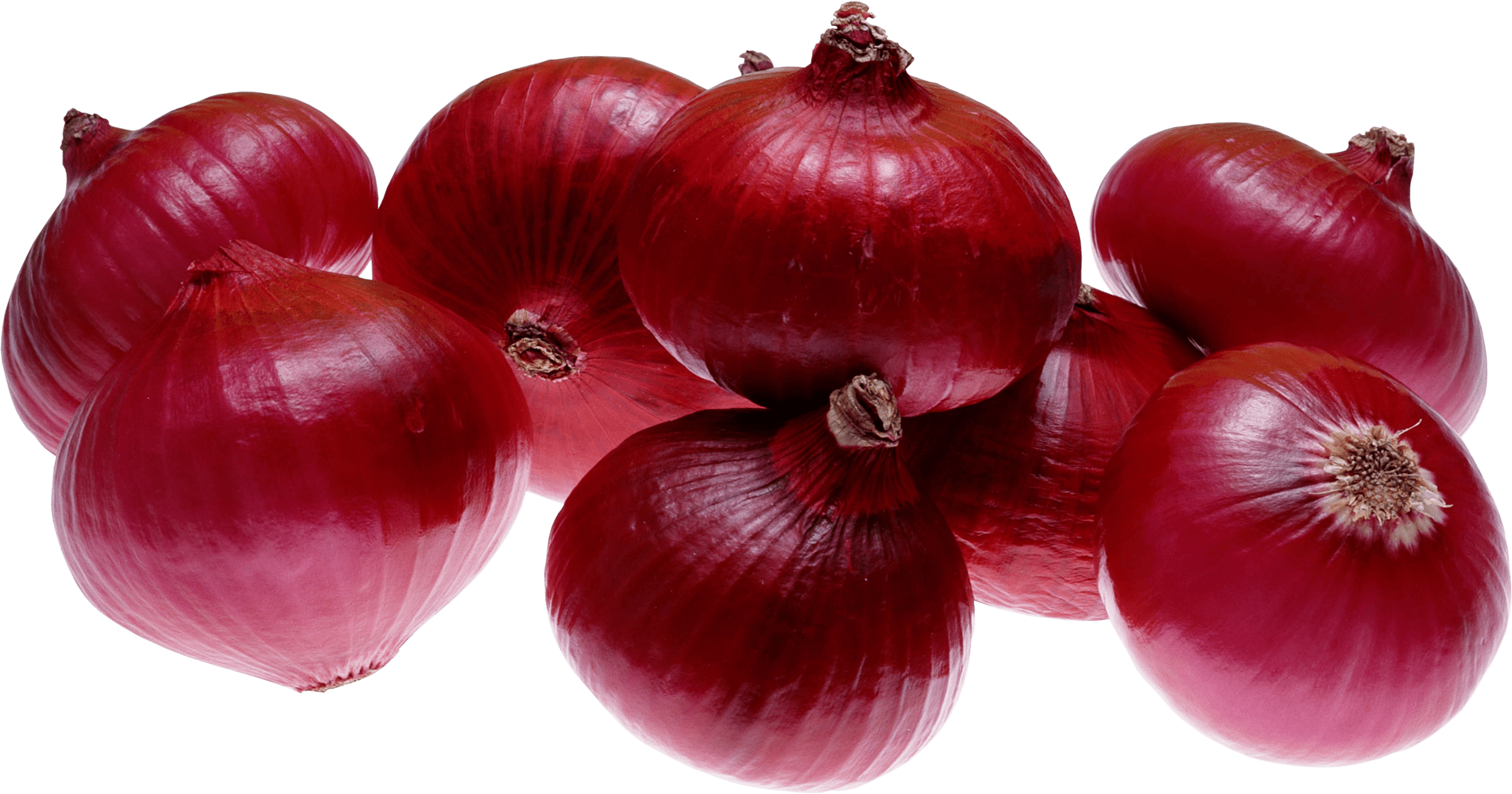 Onion Wallpapers Wallpaper Cave