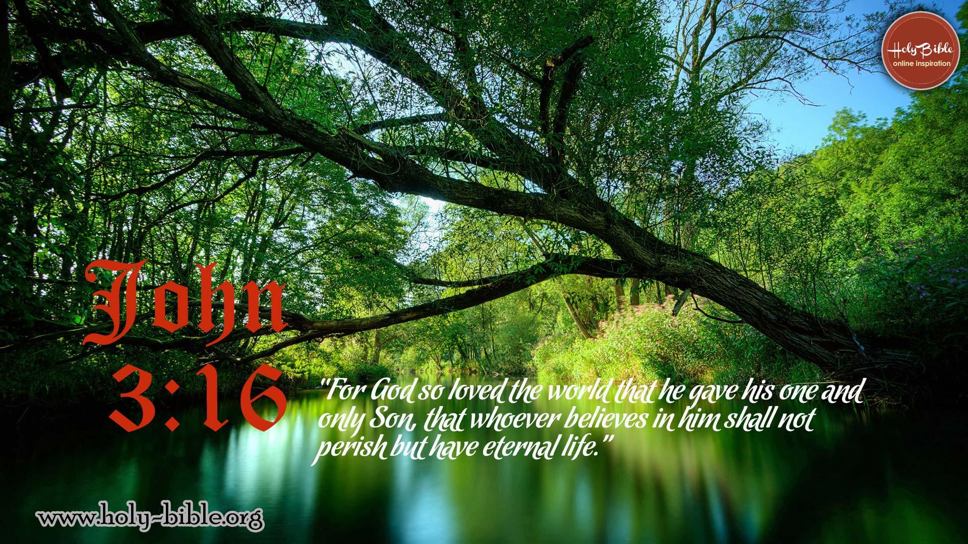 John 316 Wallpapers Wallpaper Cave