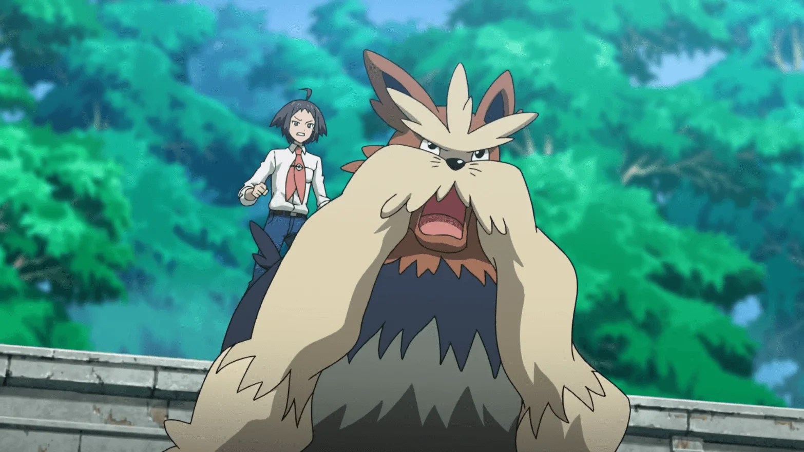 Stoutland HD Wallpapers Wallpaper Cave