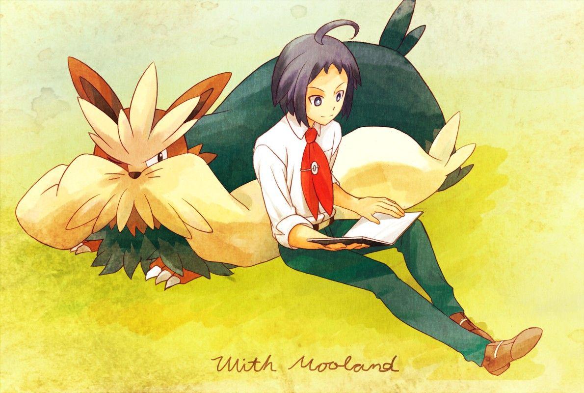 Stoutland HD Wallpapers Wallpaper Cave