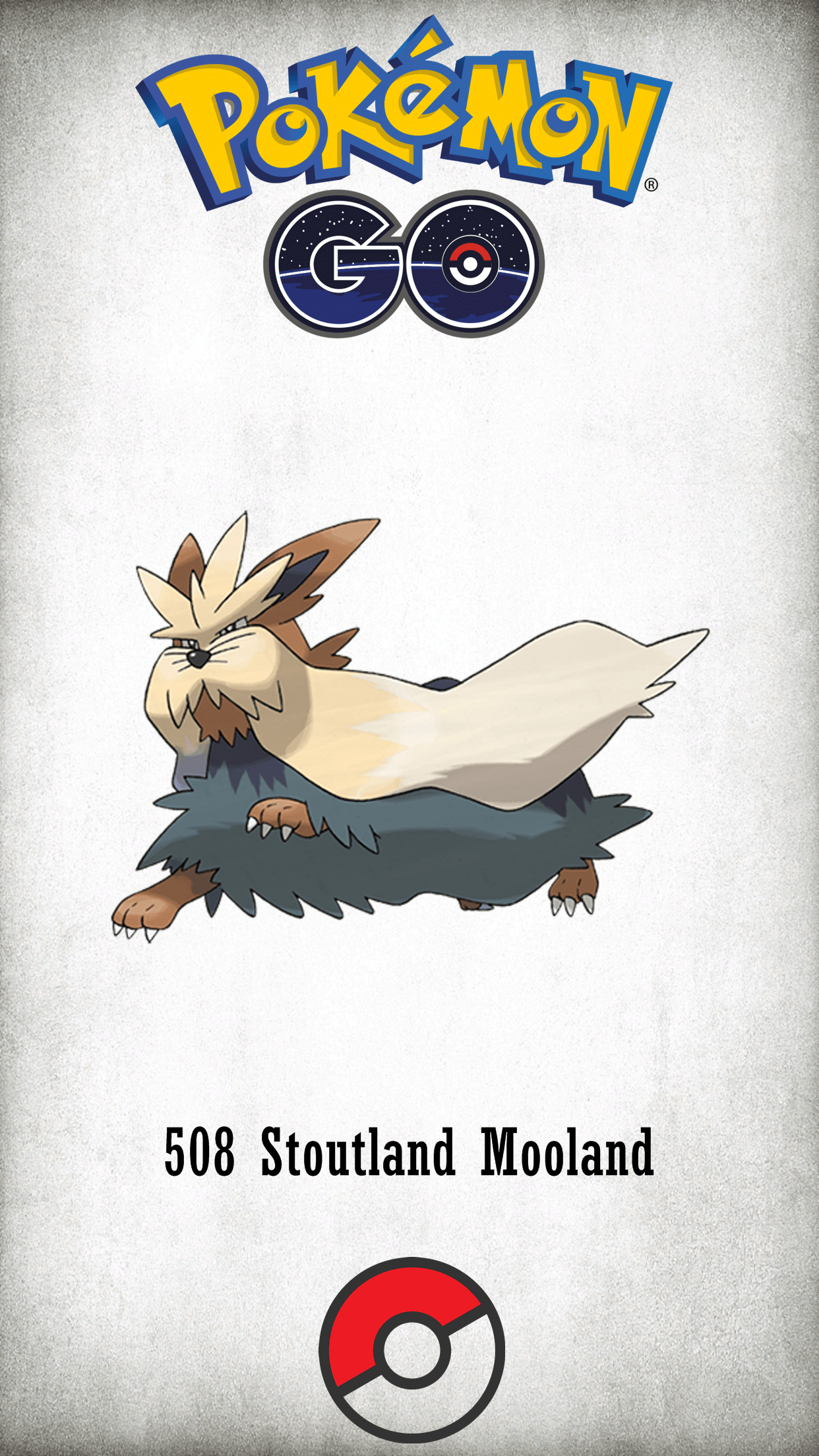 Stoutland HD Wallpapers Wallpaper Cave