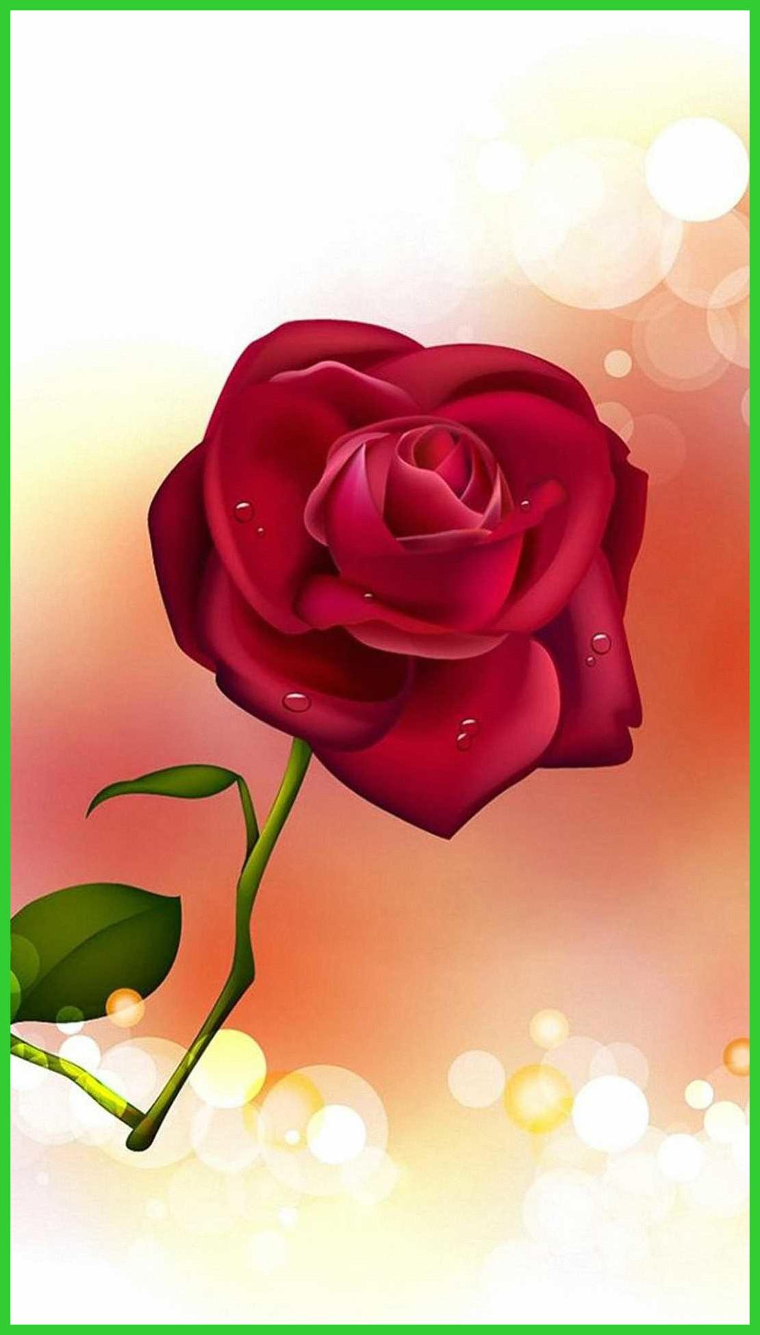 Rose Flower HD Wallpapers Wallpaper Cave