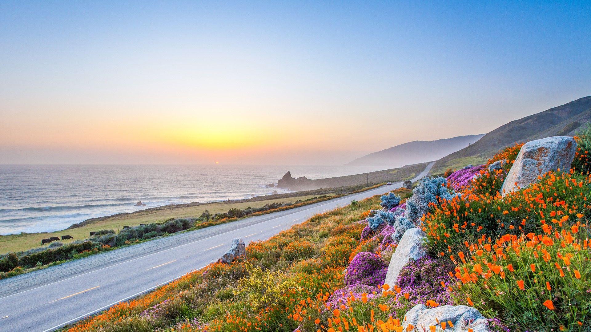 Pacific Coast Highway Wallpapers Wallpaper Cave