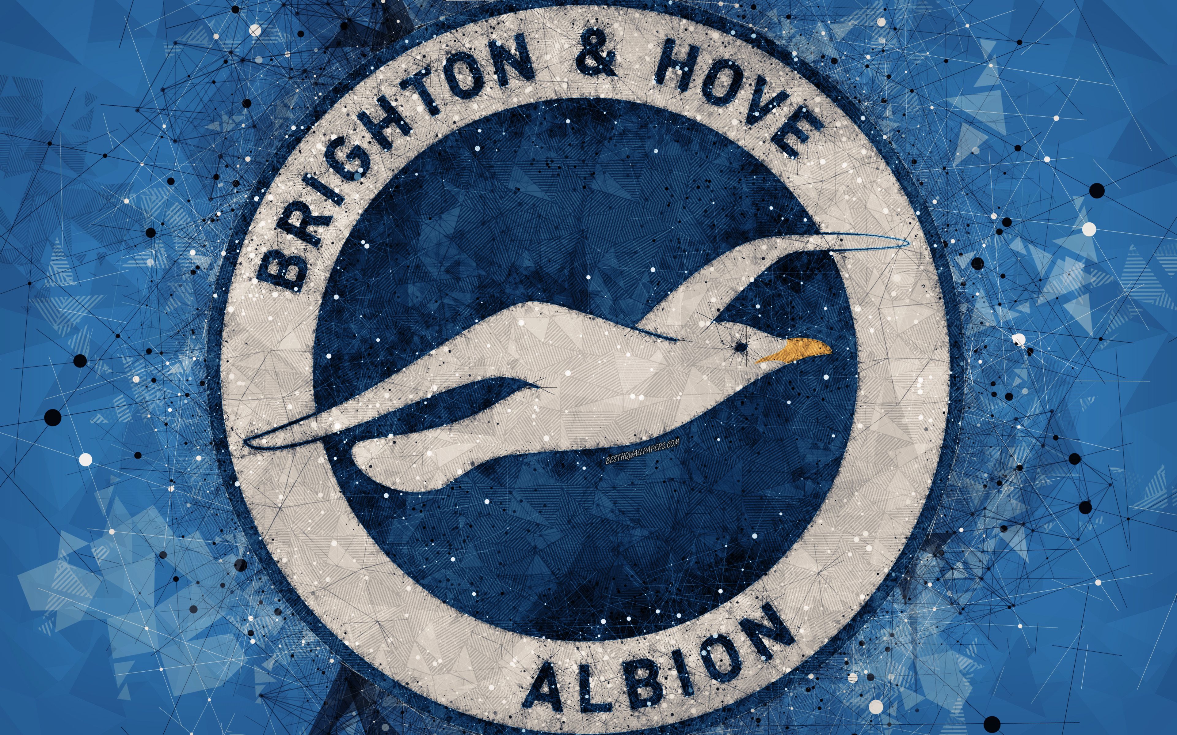 Brighton Fc Badge / Brighton and Hove Albion Badge Football Club