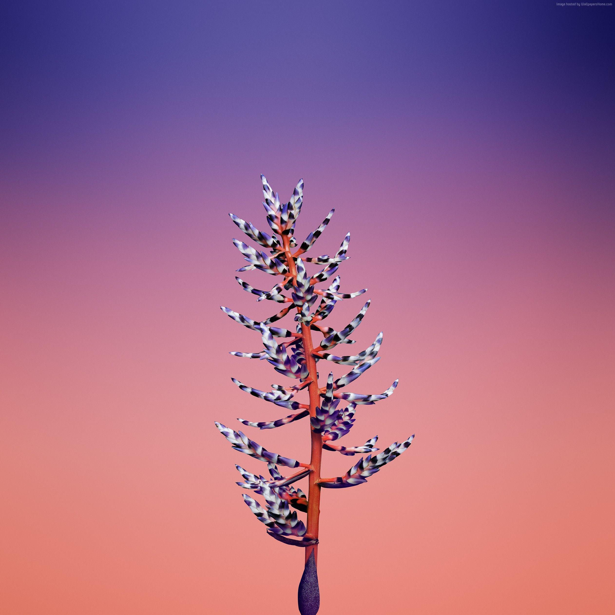 iPhone X 4K Wallpapers Wallpaper Cave