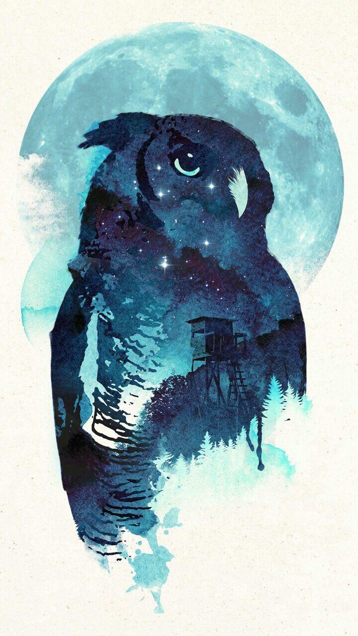 Hedwig Wallpapers Wallpaper Cave
