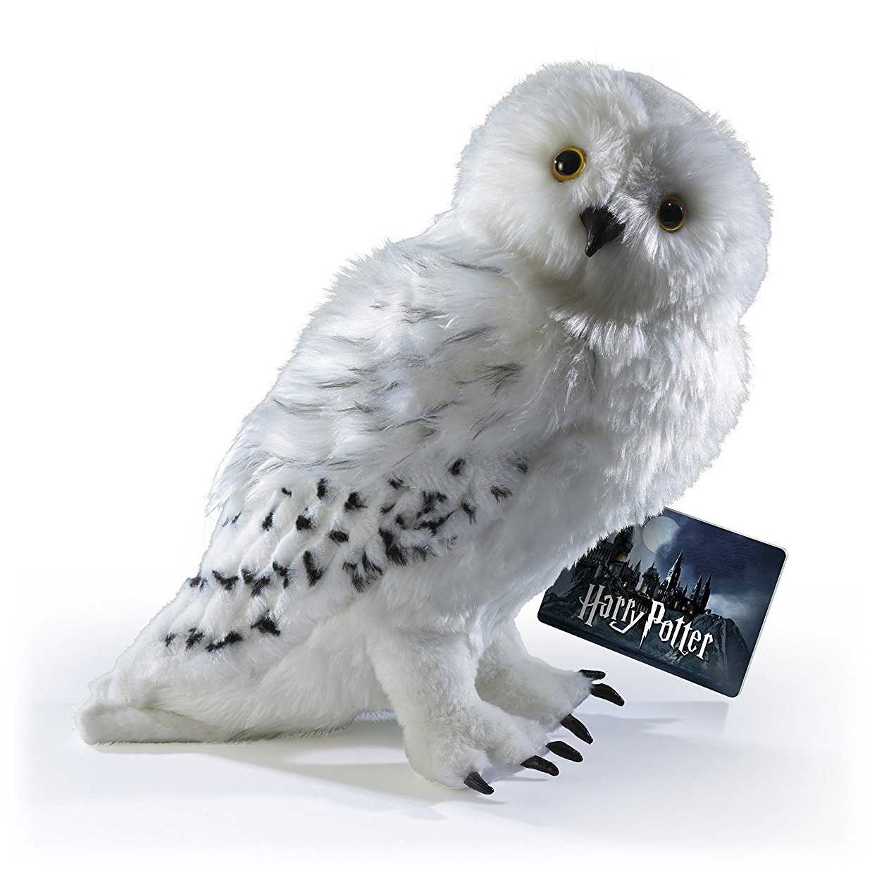 Hedwig Wallpapers Wallpaper Cave