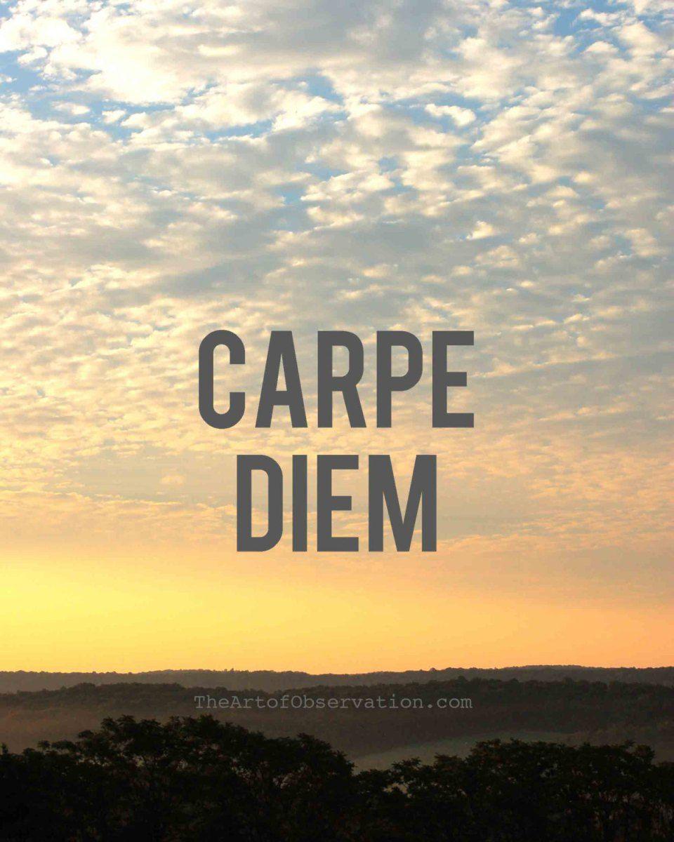 Carpe Diem Wallpapers Wallpaper Cave
