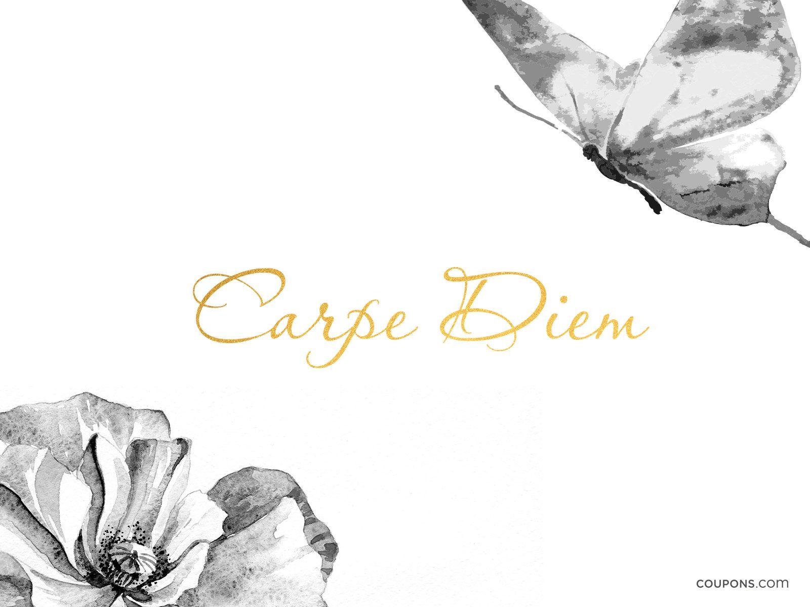 Carpe Diem Wallpapers Wallpaper Cave