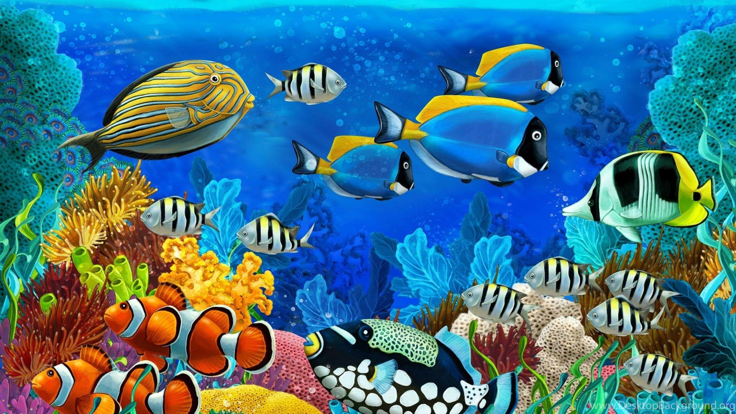 Aquatic Animals Wallpapers Wallpaper Cave