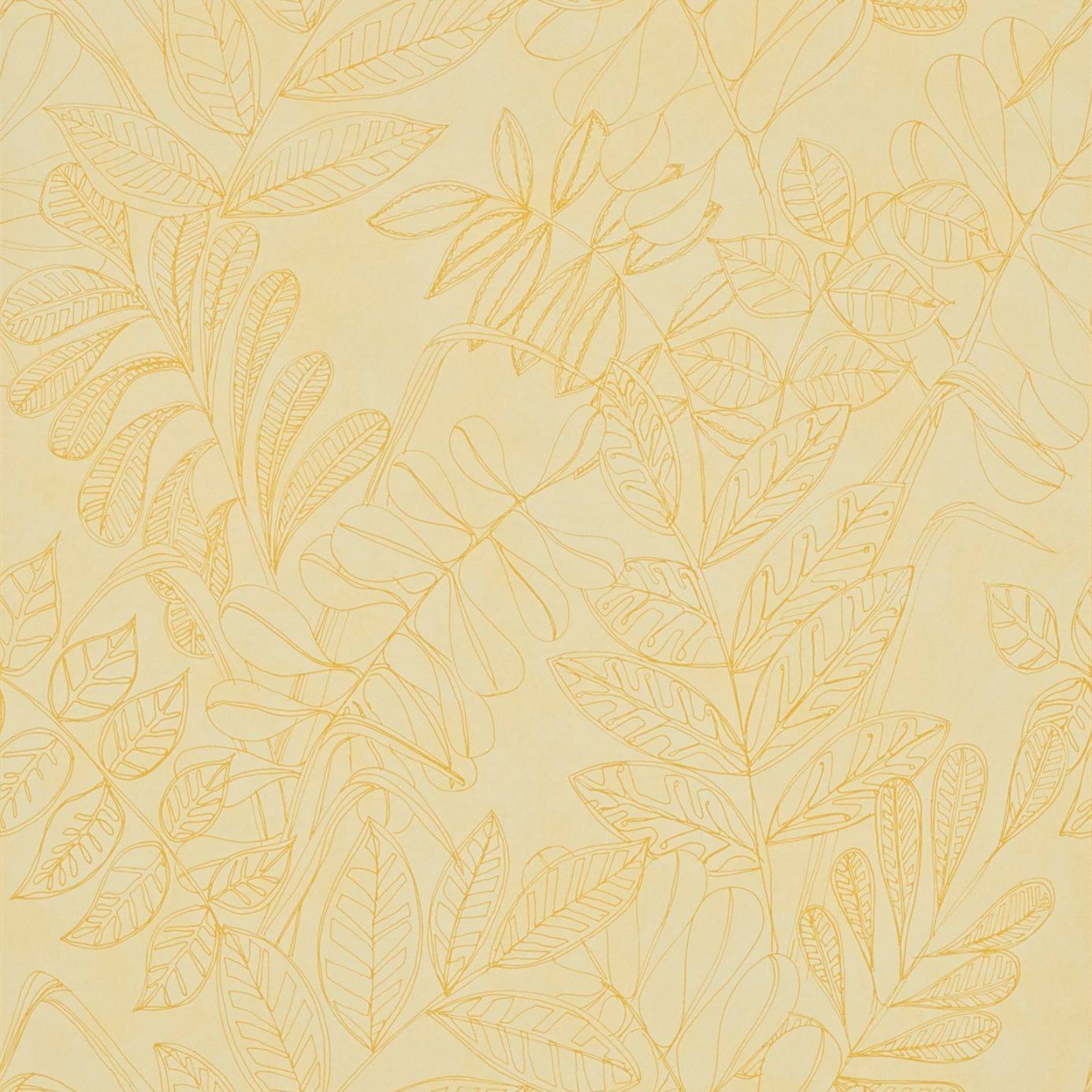 Mustard Wallpapers Wallpaper Cave