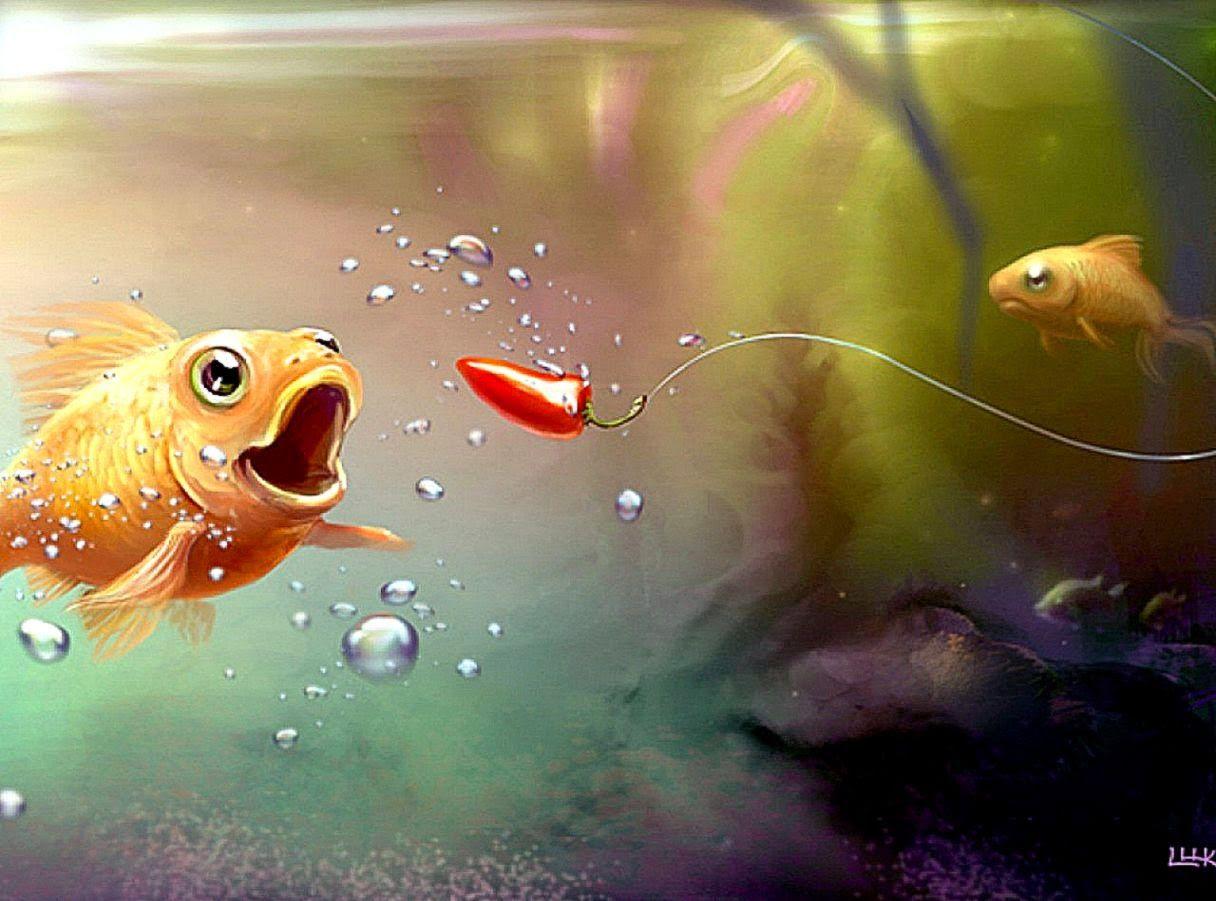 Water Animals Wallpapers For Desktop