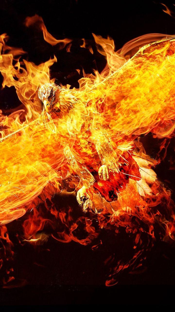 Fire Eagle Wallpapers Wallpaper Cave