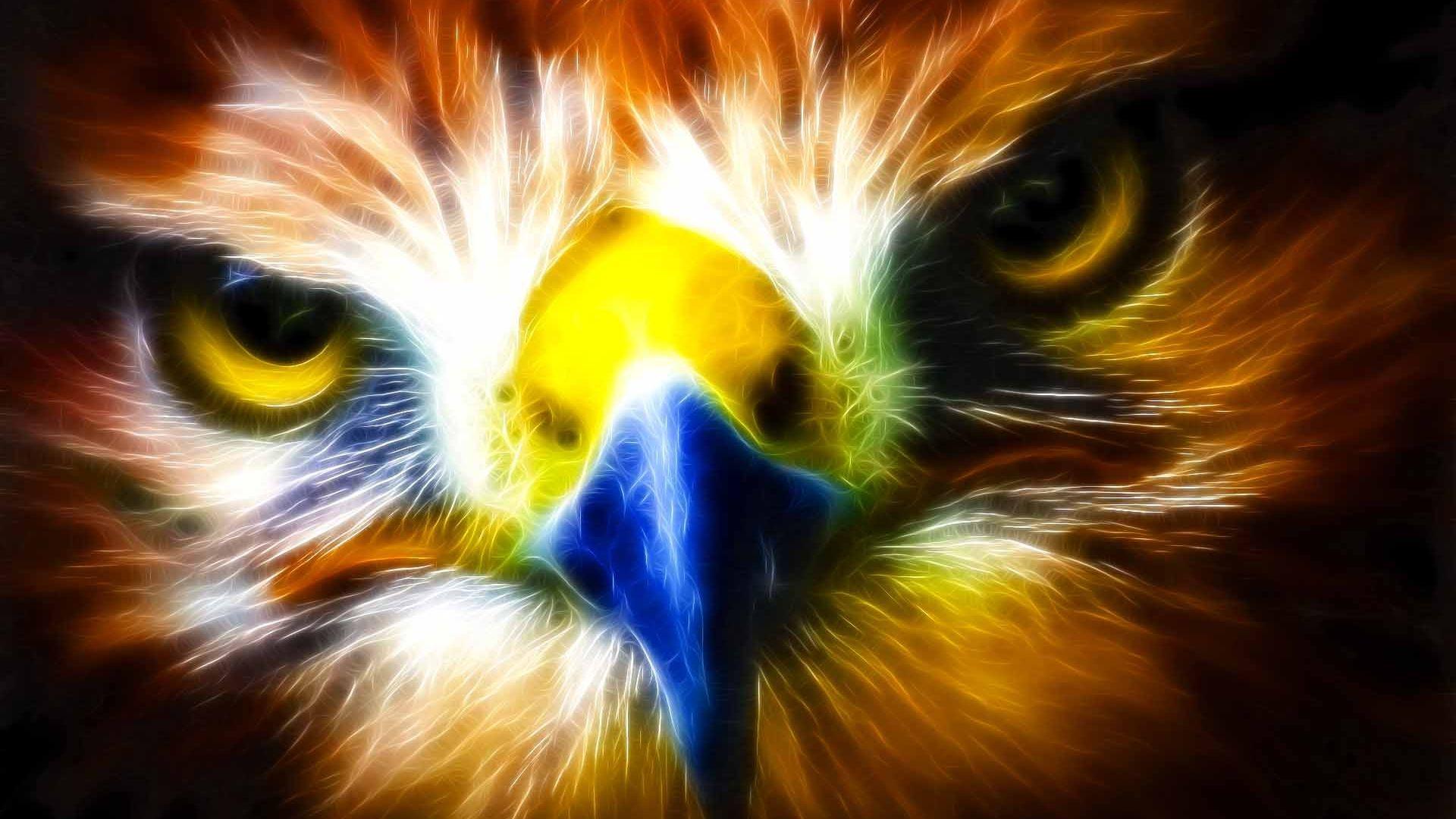 Fire Eagle Wallpapers Wallpaper Cave
