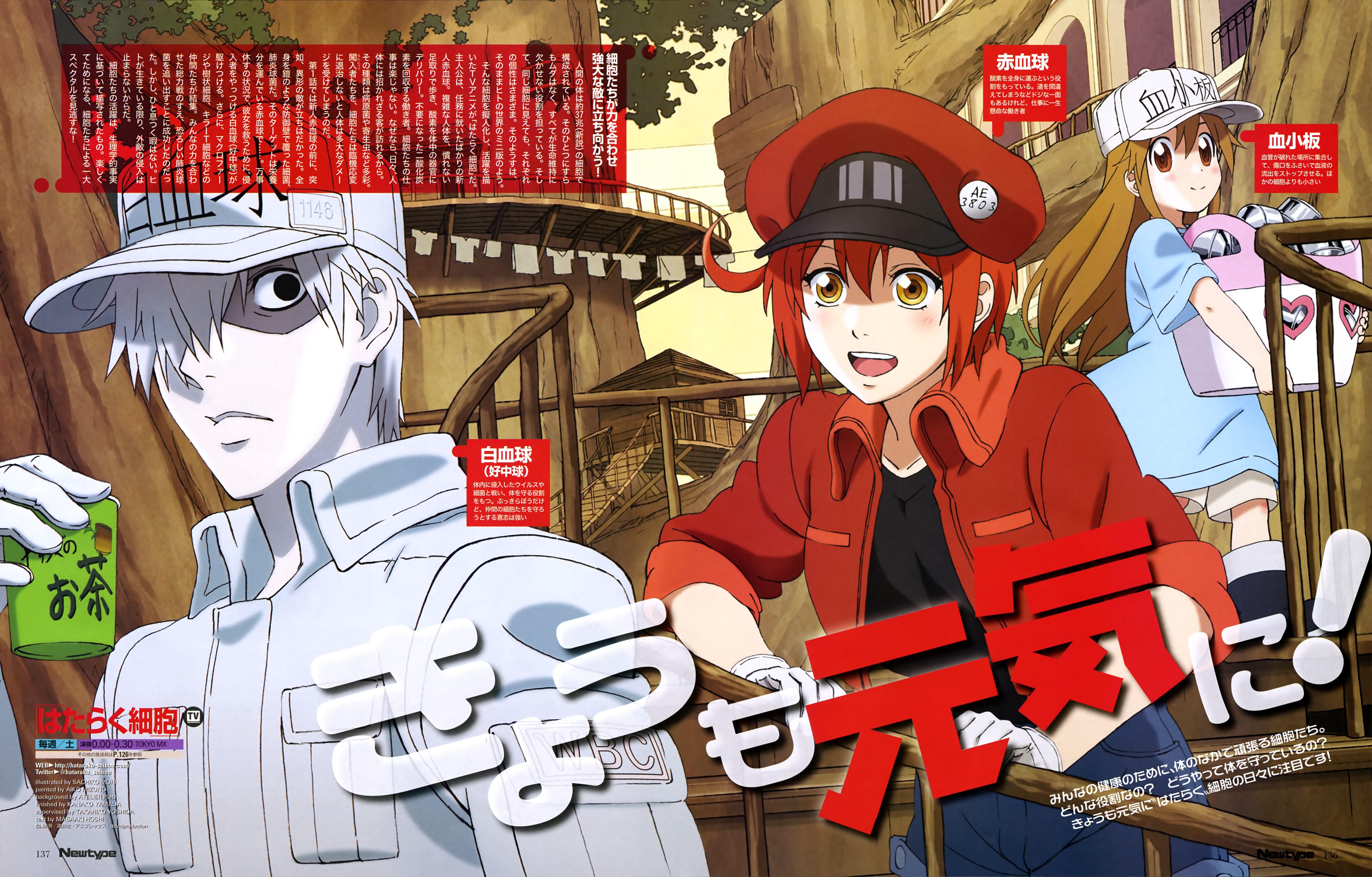 Hataraku Saibou Wallpapers Wallpaper Cave