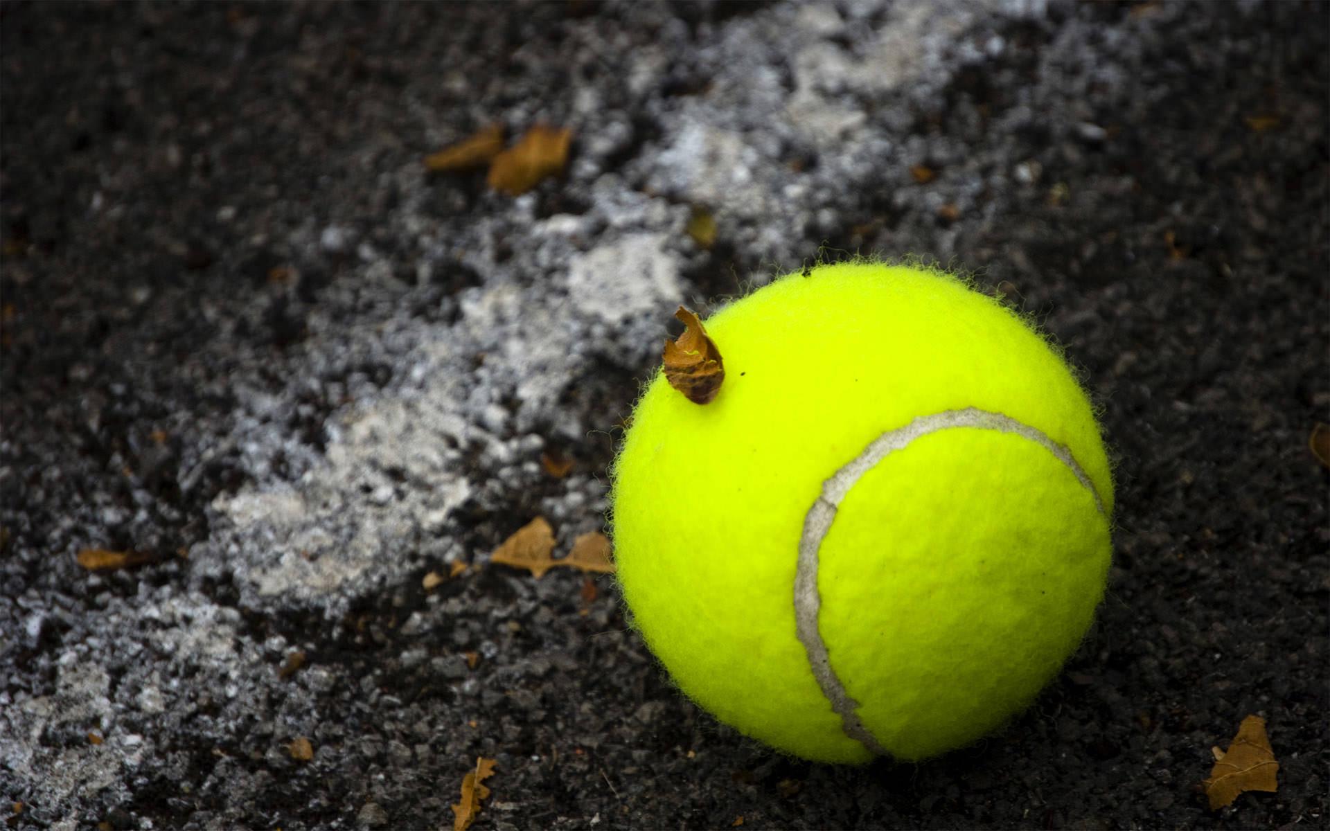 Tennis Ball Wallpapers Wallpaper Cave