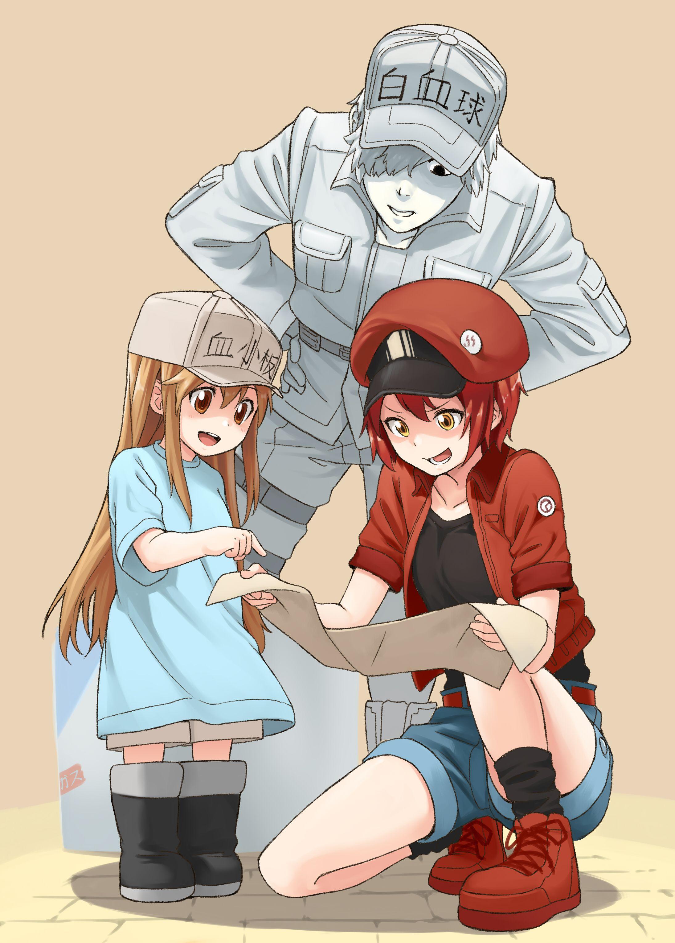 Hataraku Saibou Wallpapers Wallpaper Cave