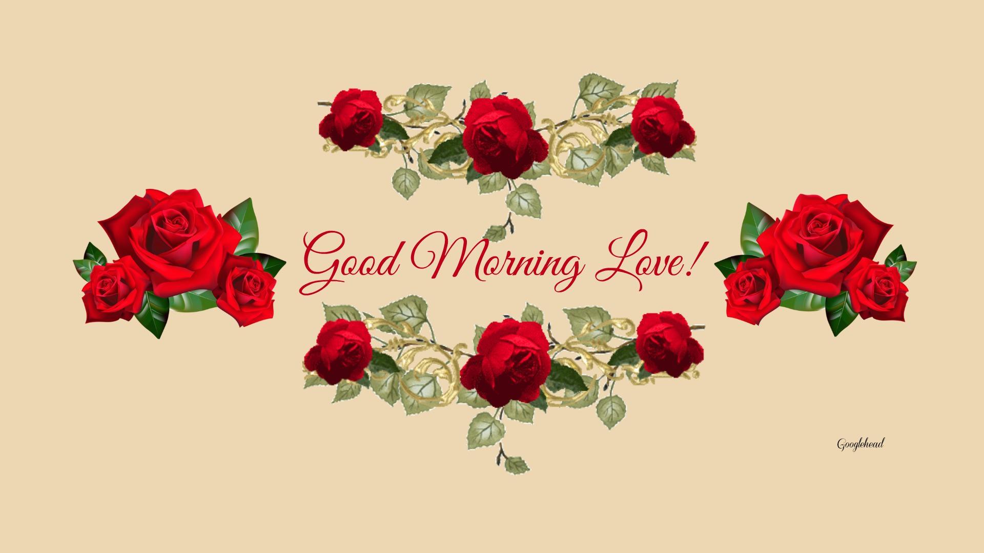 Good Morning Rose Wallpapers Wallpaper Cave