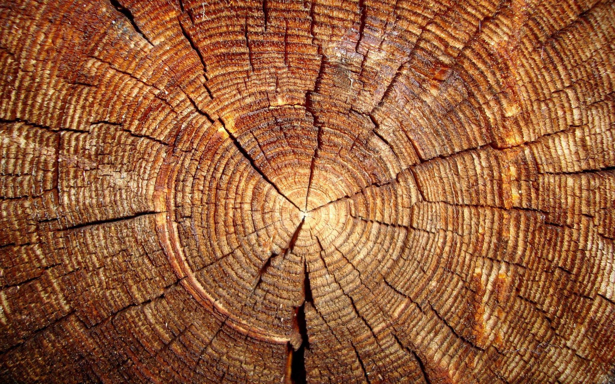 HD Hardwood Wallpapers Wallpaper Cave