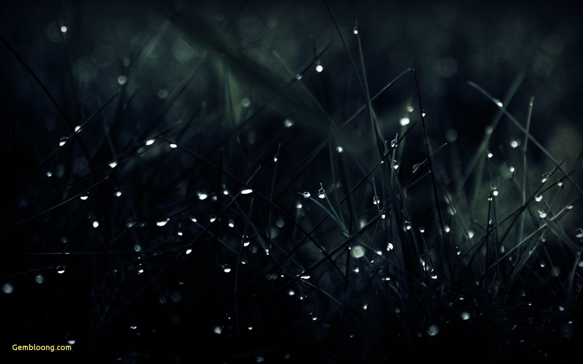 Best Laptop Wallpapers HD Wallpaper Cave