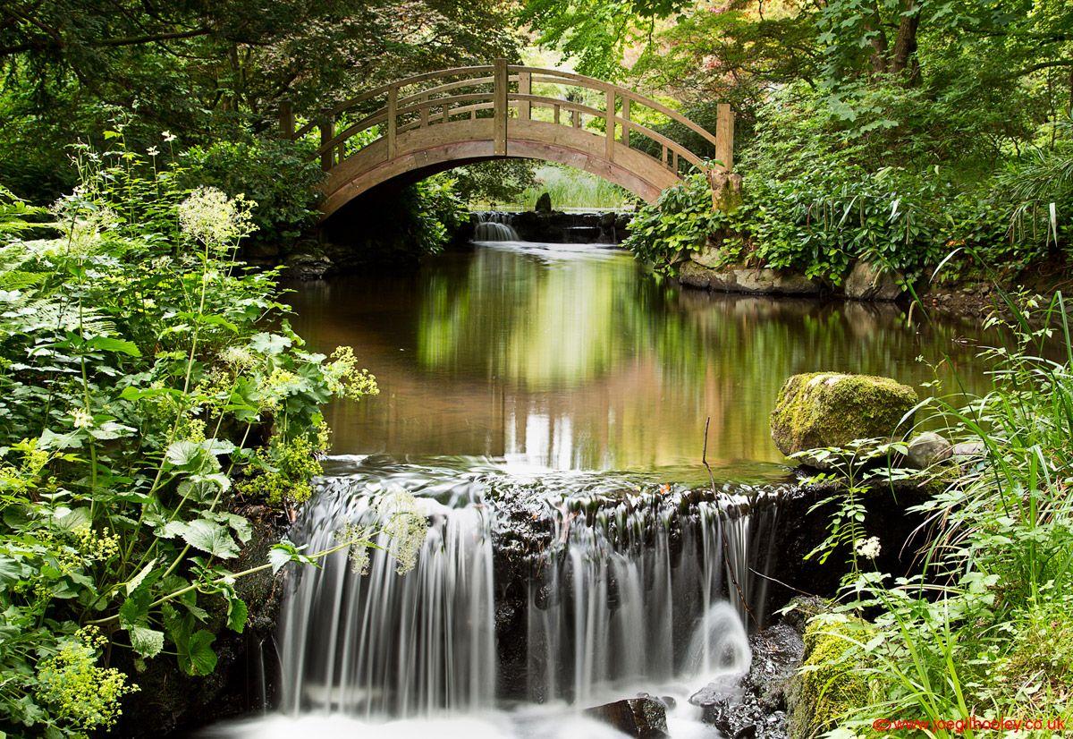 Japanese Water Garden Wallpapers Wallpaper Cave