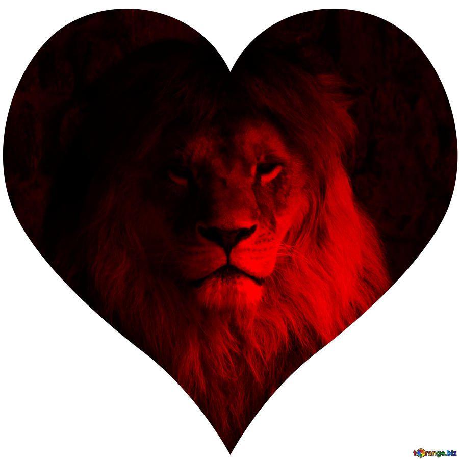 Heart Lion Backgrounds Wallpaper Cave