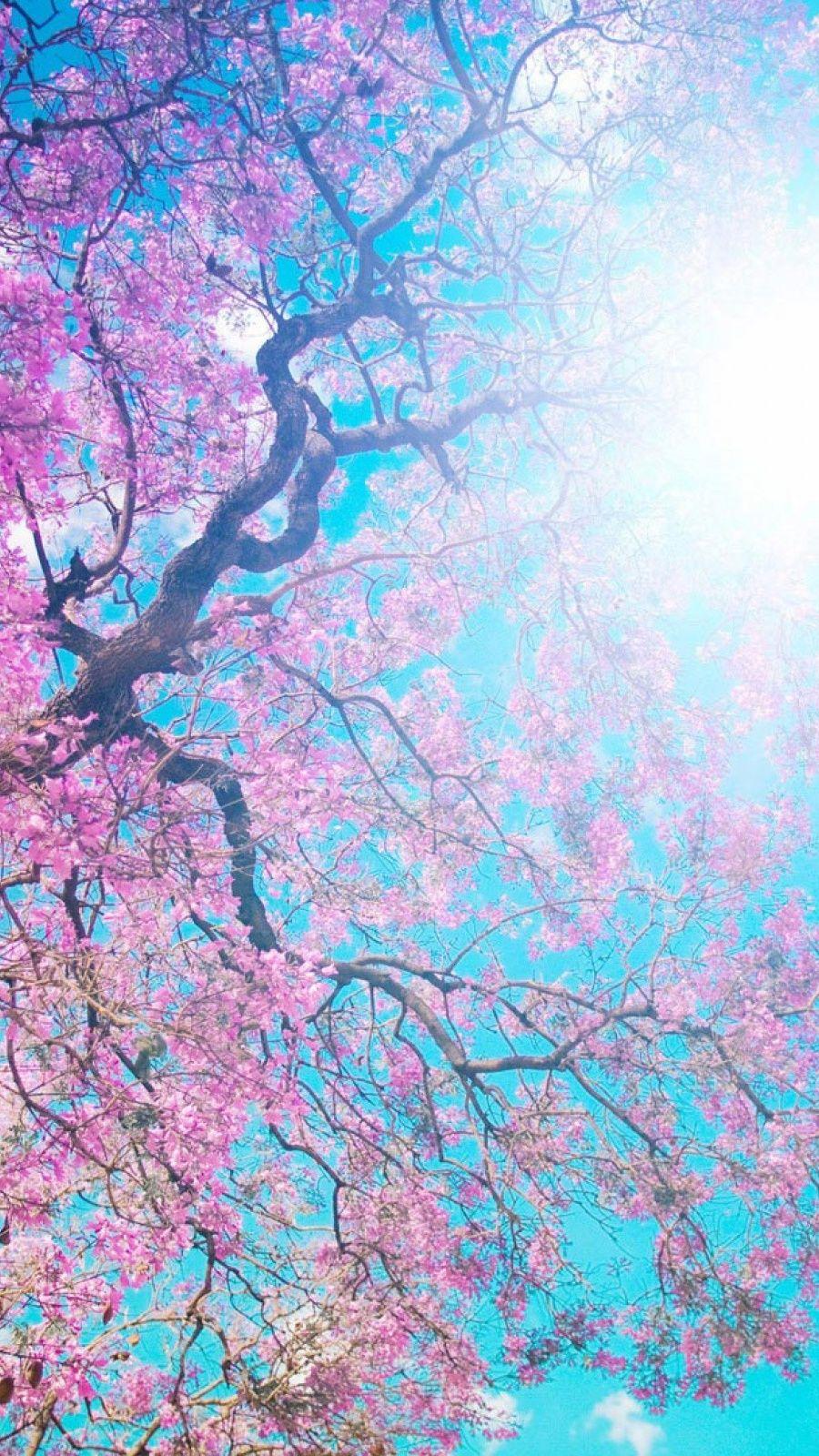 Samsung J5 Wallpapers Wallpaper Cave