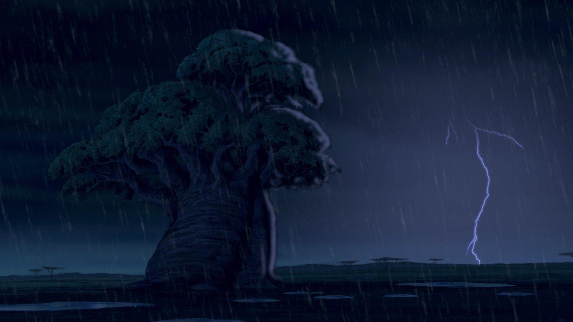 Rafiki Wallpapers Wallpaper Cave