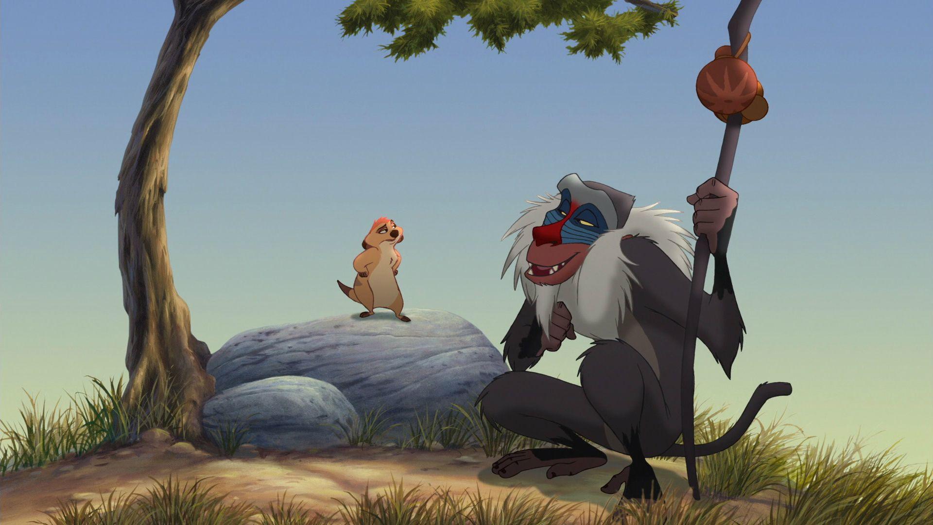 Rafiki Wallpapers Wallpaper Cave