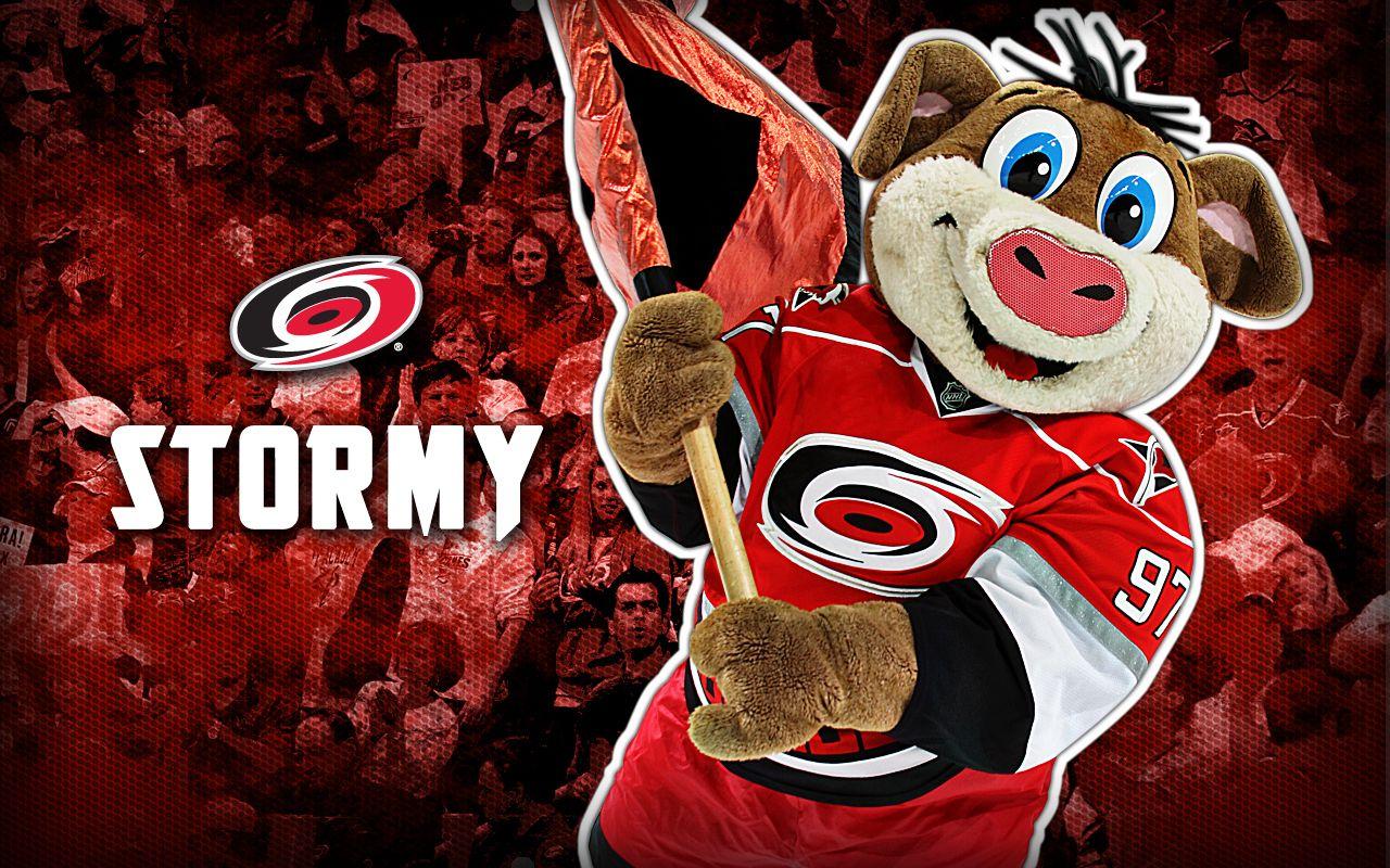 Carolina Hurricanes Mascot Stormy Stormy Earn 3 on eligible orders