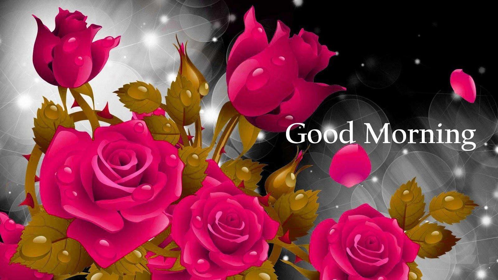 Good Morning Rose Wallpapers Wallpaper Cave