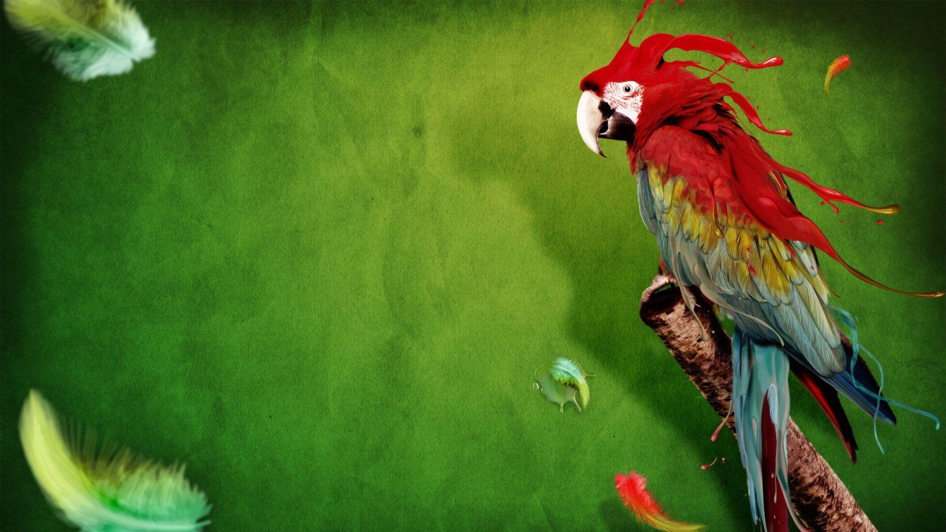 Red And Green Wallpapers Wallpaper Cave