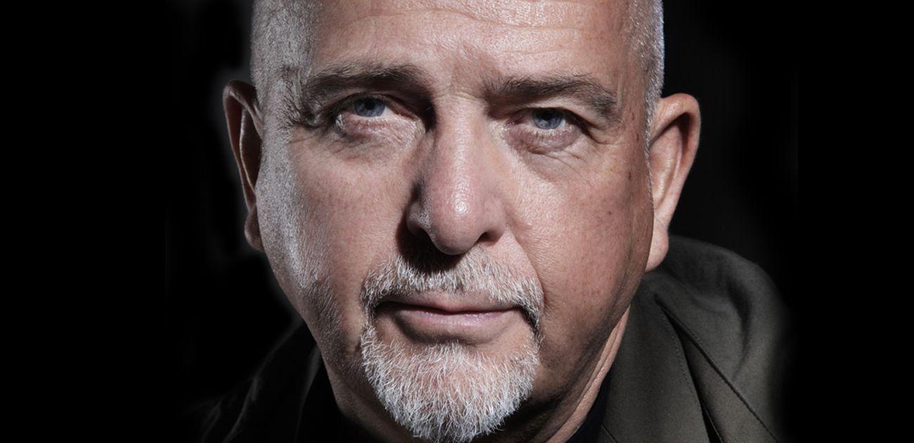 Peter Gabriel Wallpapers Wallpaper Cave