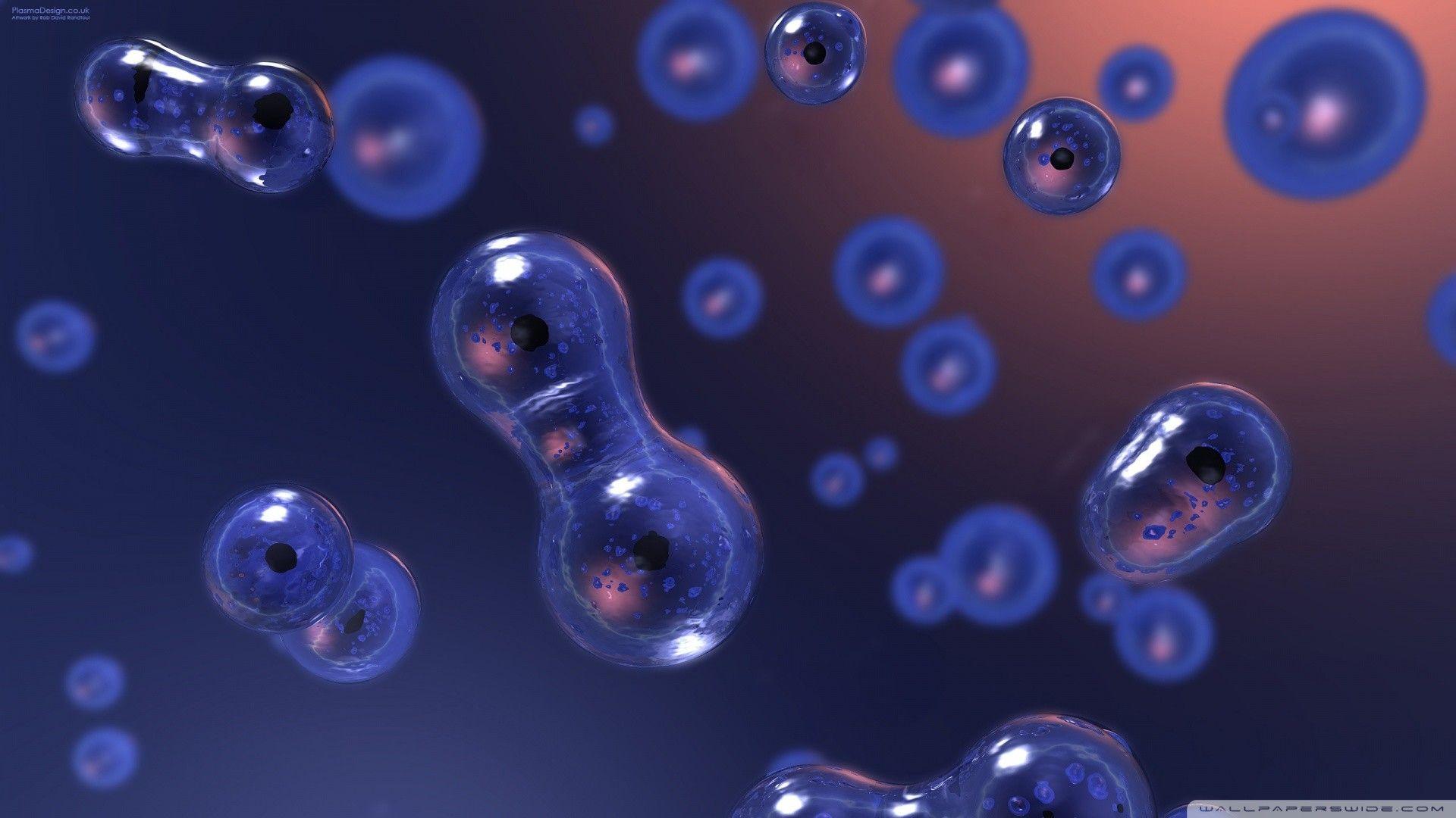 Cell Biology Wallpapers Wallpaper Cave