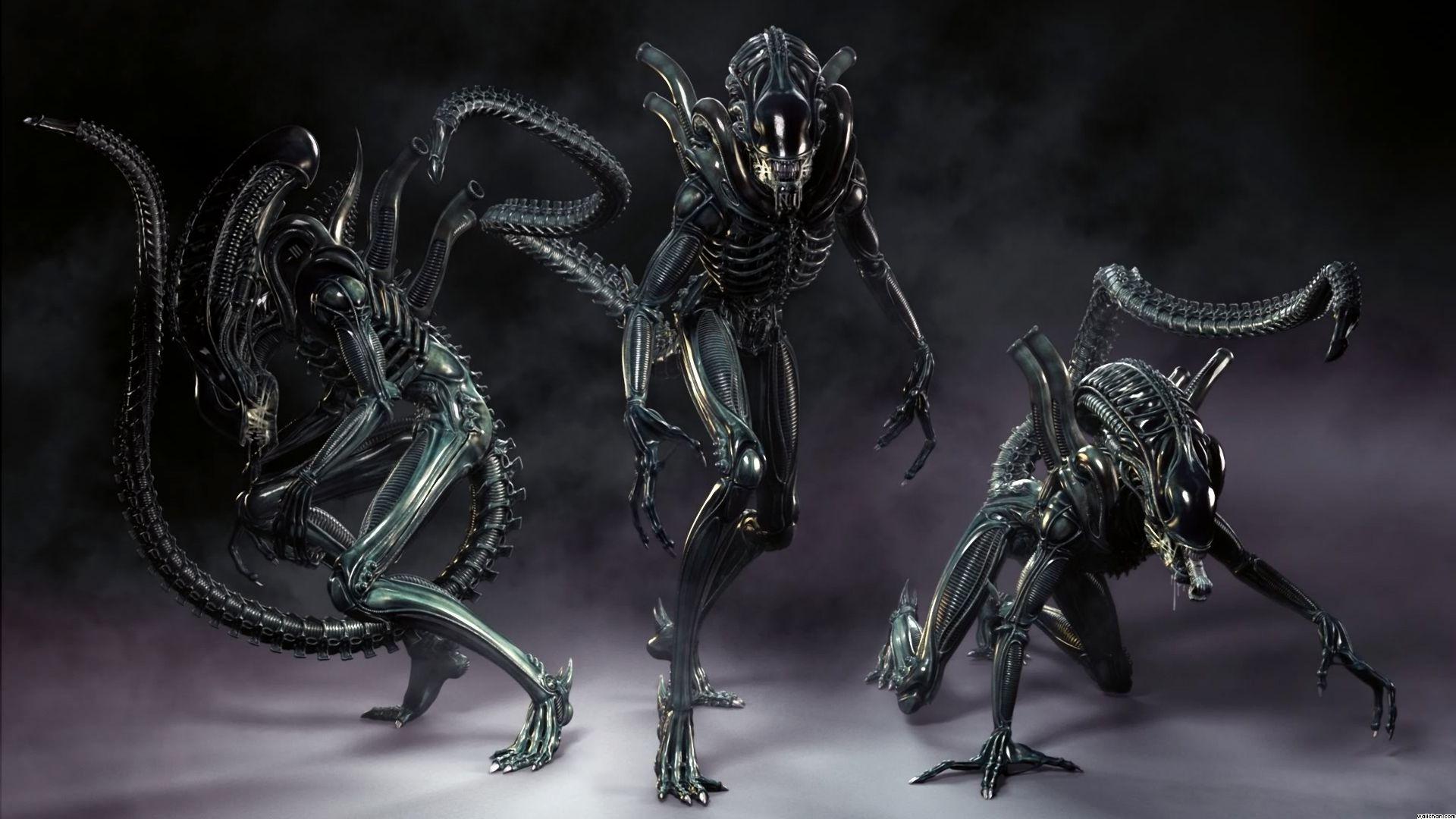 Queen Xenomorph Wallpaper