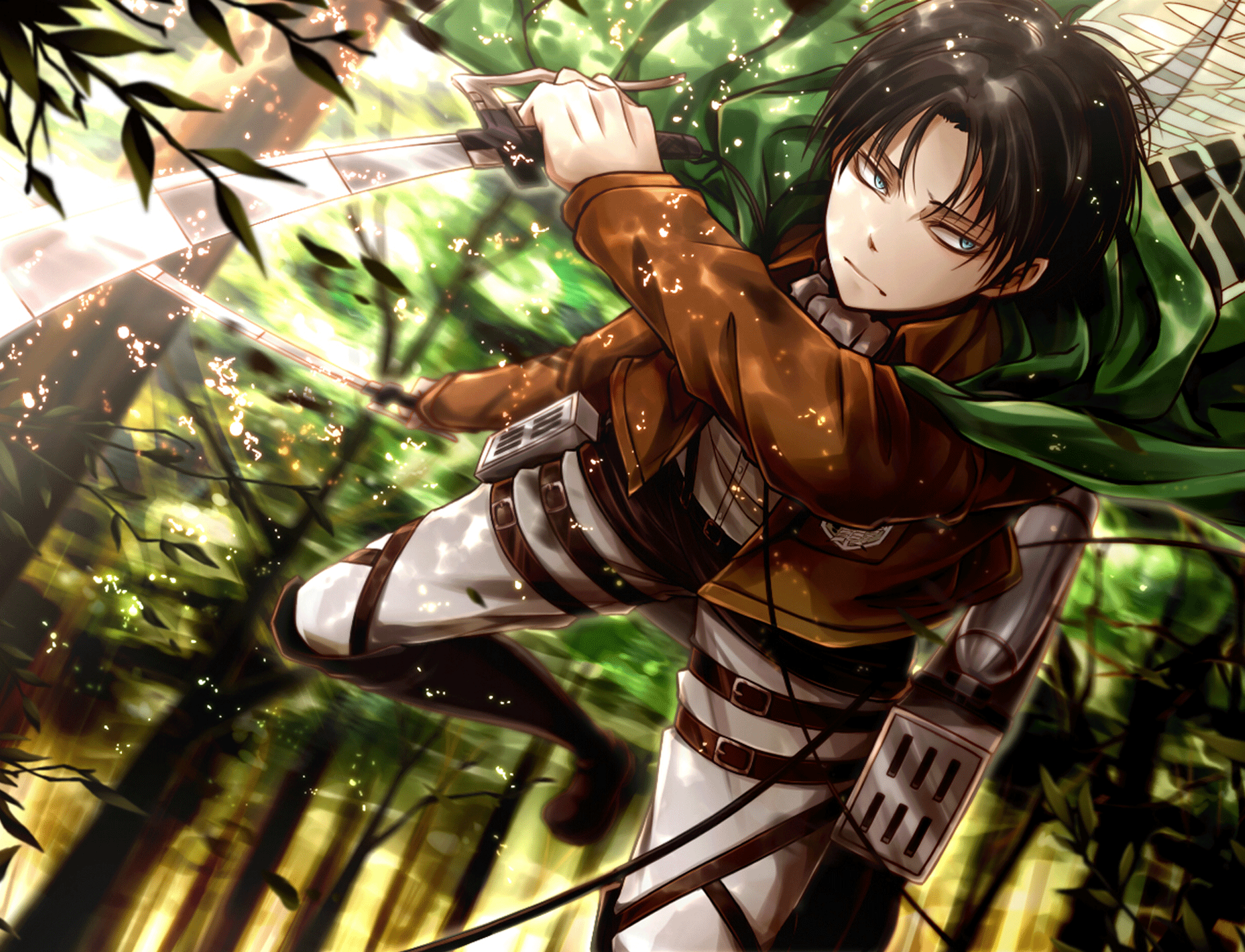Captain Levi Wallpapers Wallpaper Cave