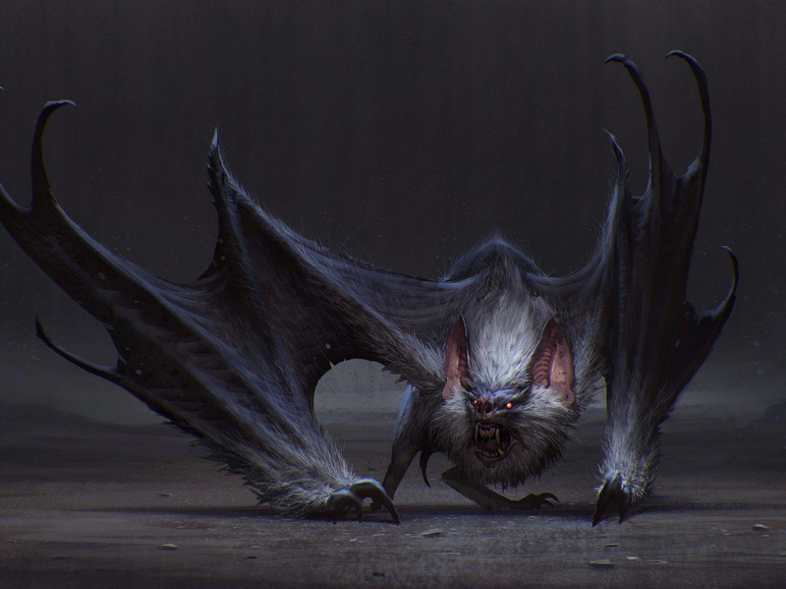 Bat Animal Wallpapers Wallpaper Cave