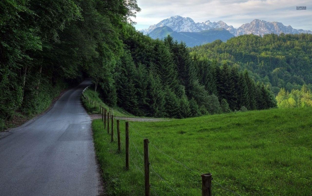 Forest Road Wallpapers Wallpaper Cave
