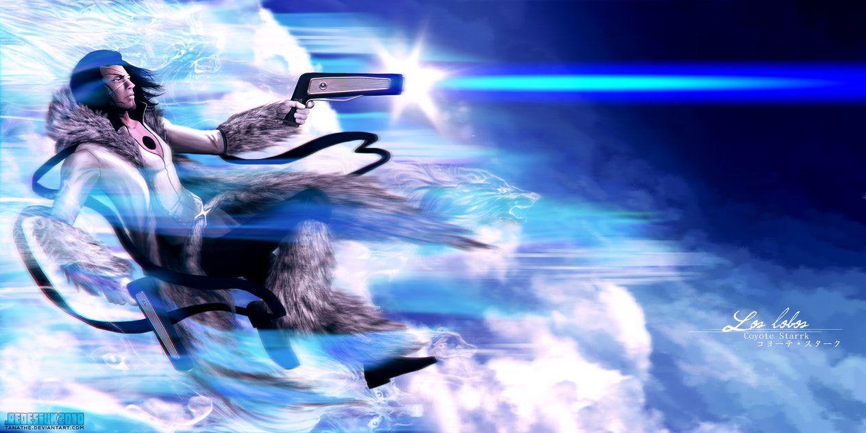 Coyote Stark Wallpapers Wallpaper Cave