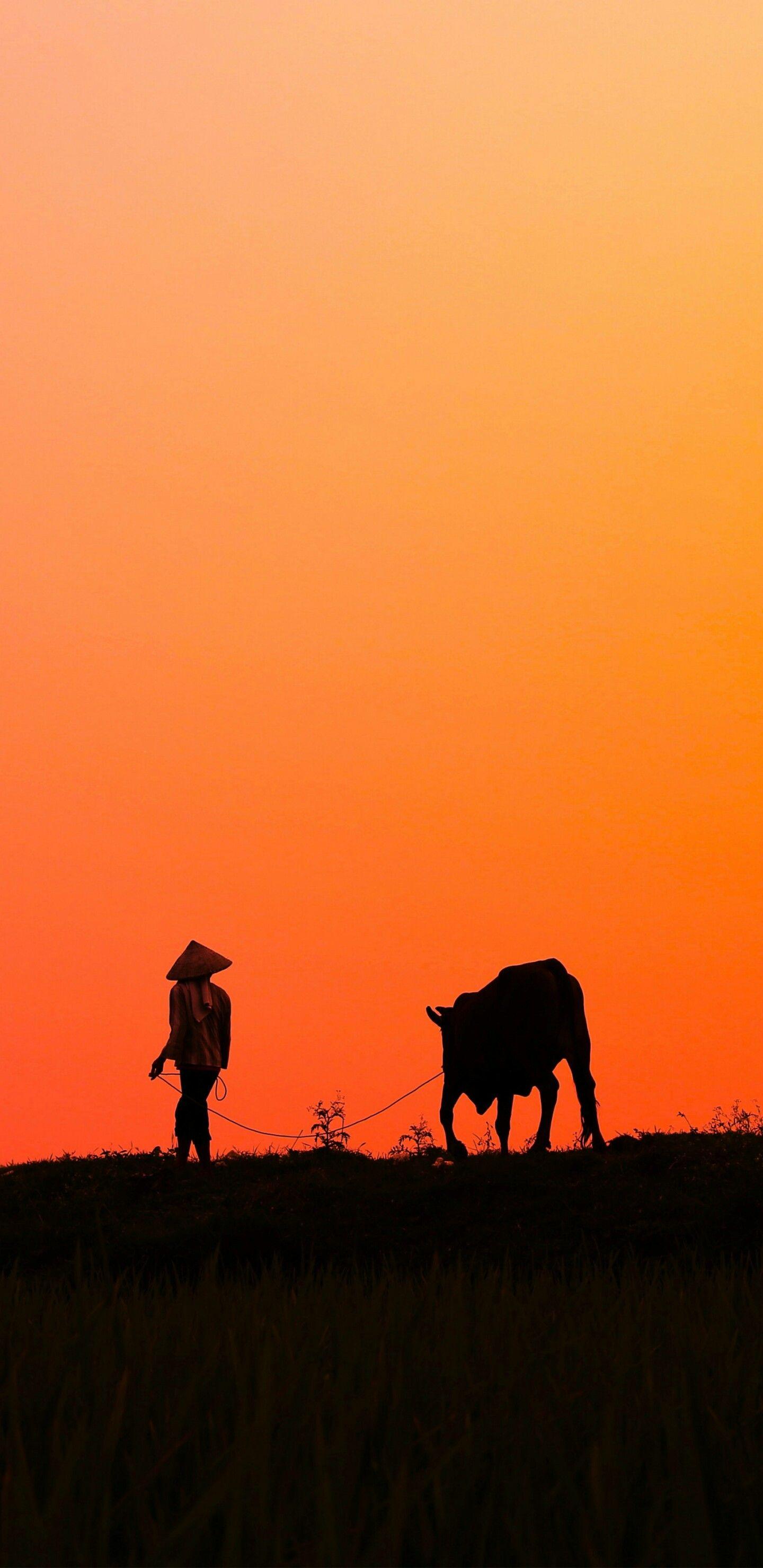 Samsung Note 8 Wallpapers Wallpaper Cave